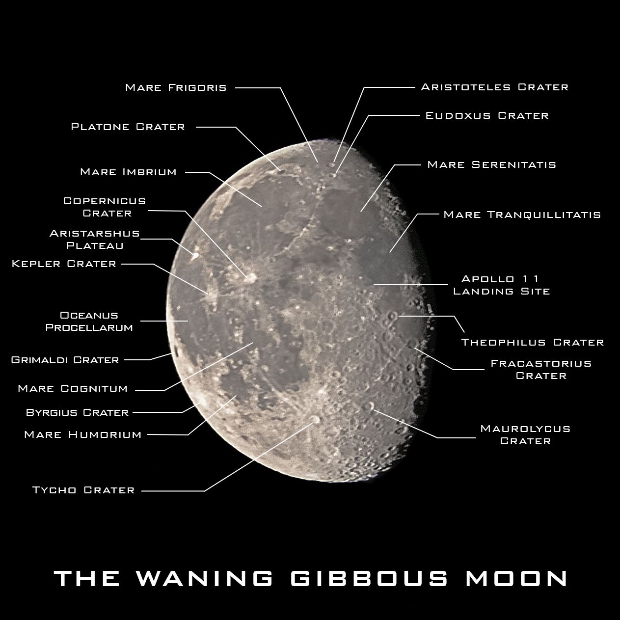 Community photo by Soumya Seal | Kolkata, West Bengal, India