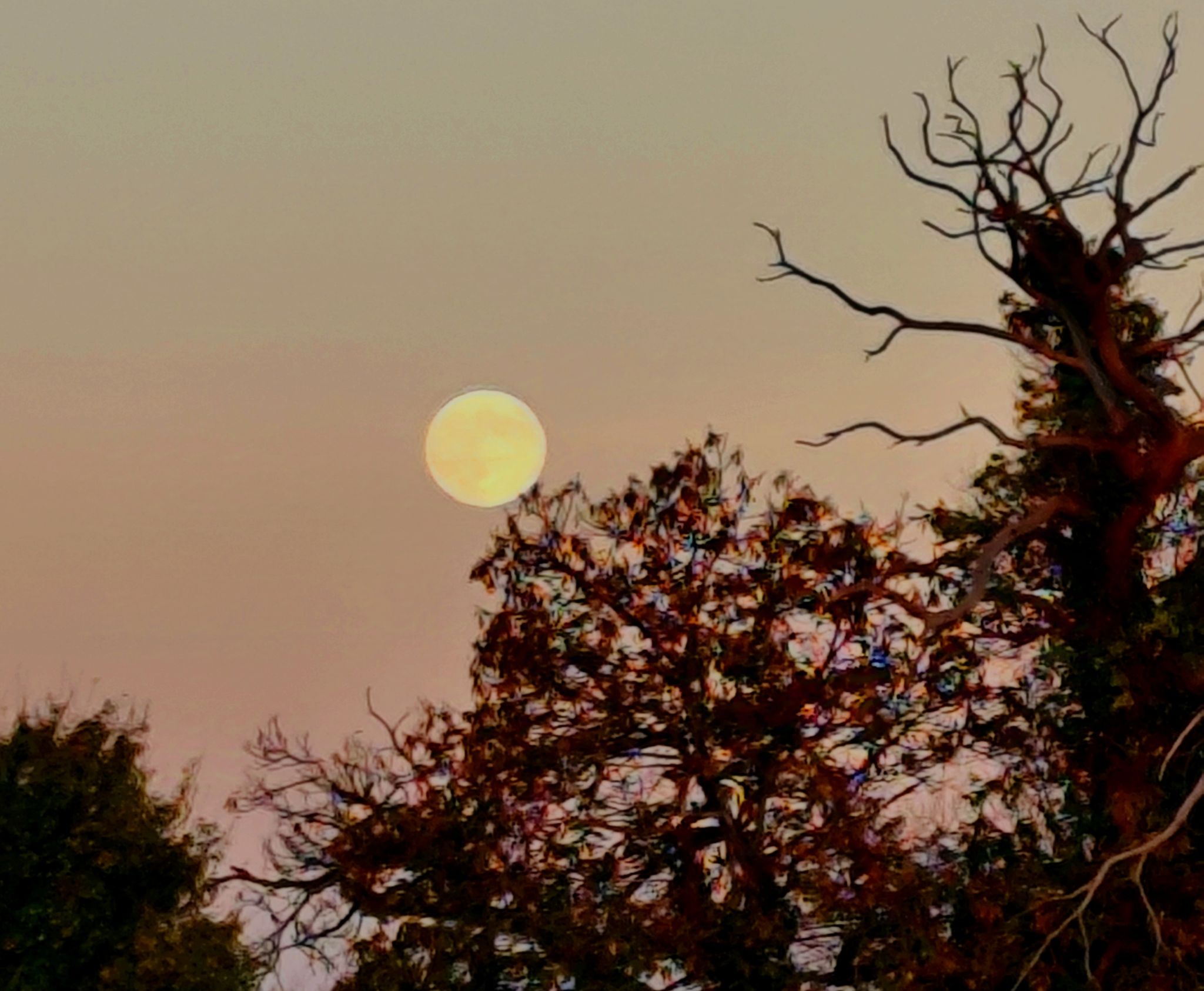 Community photo by PamelaJayne