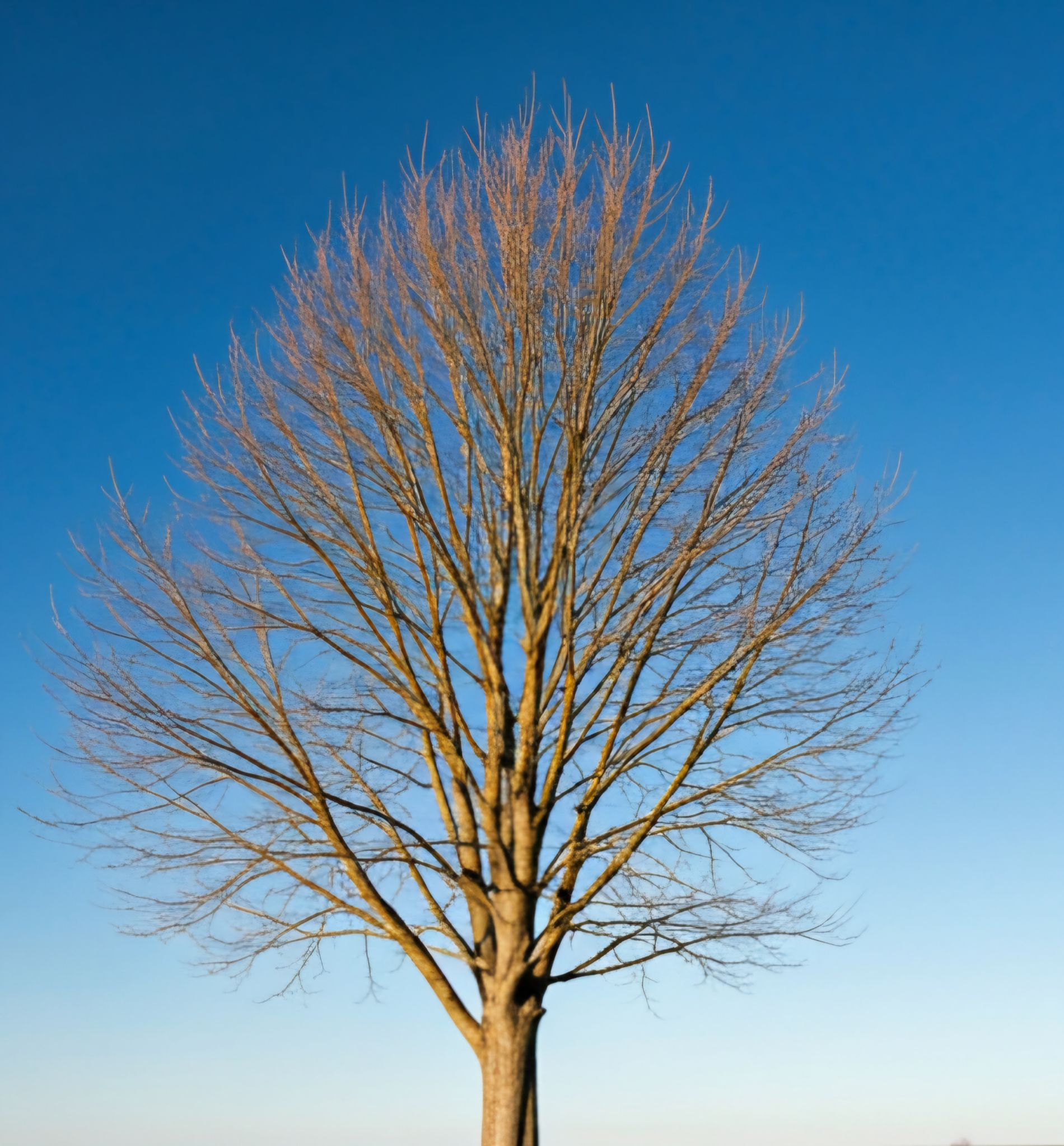 Community photo by Brigget