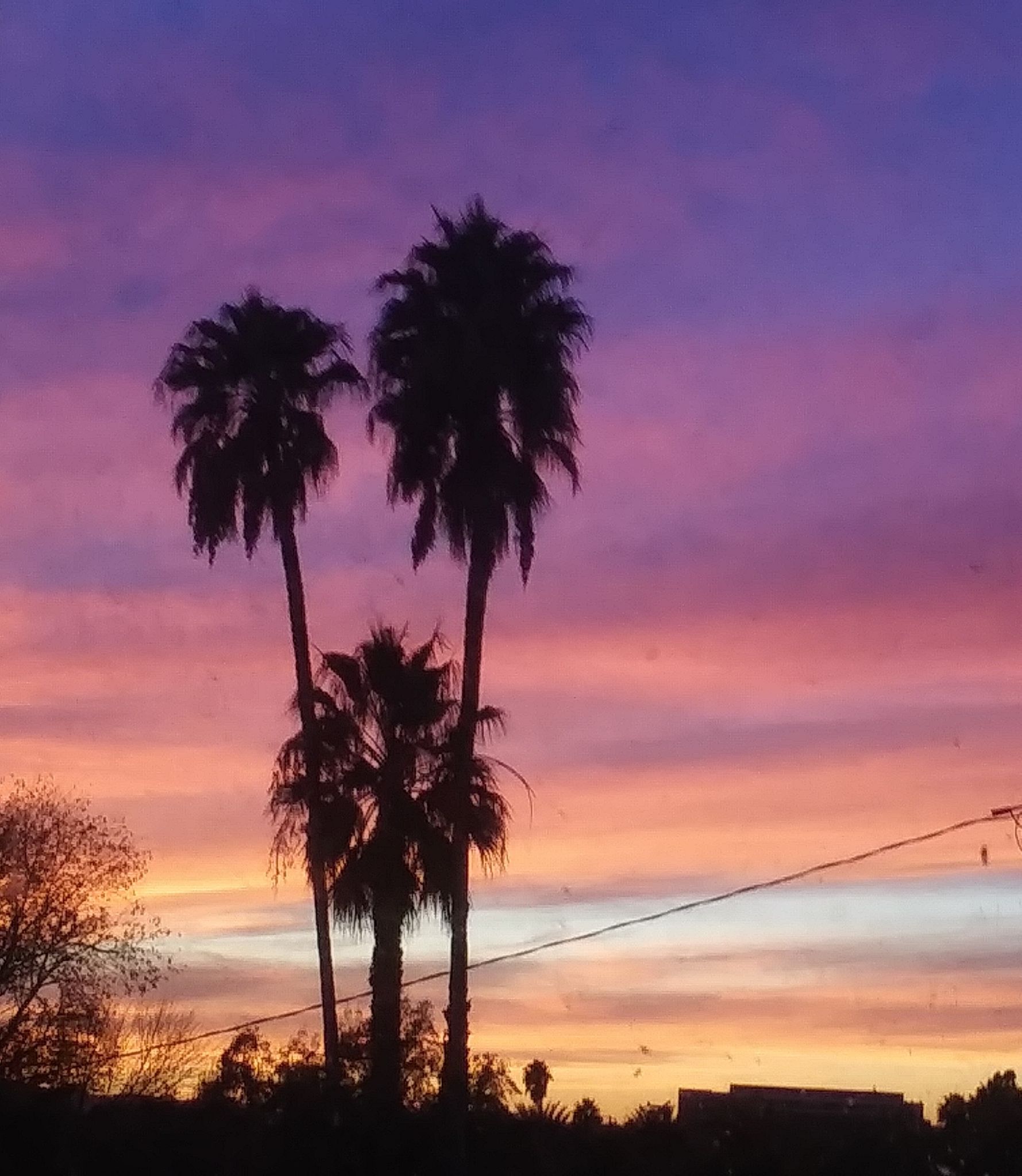 Community photo by Denise Elles | Los Angeles, CA U.S.