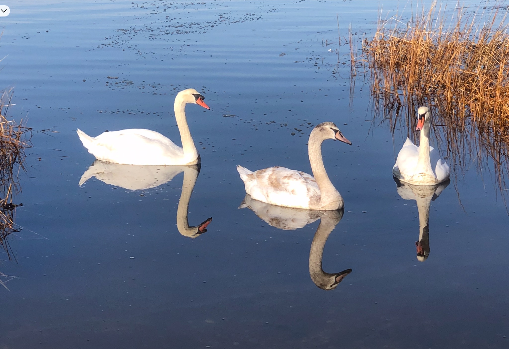Community photo by Mike Barnett | NYC, New York, USA
