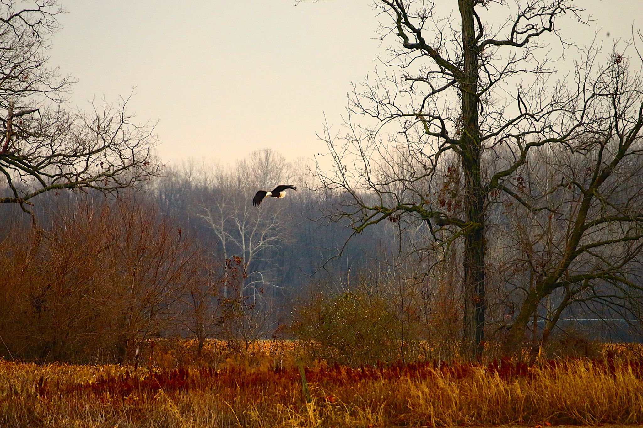 Community photo by Bill Kozar | Columbus, Indiana. USA