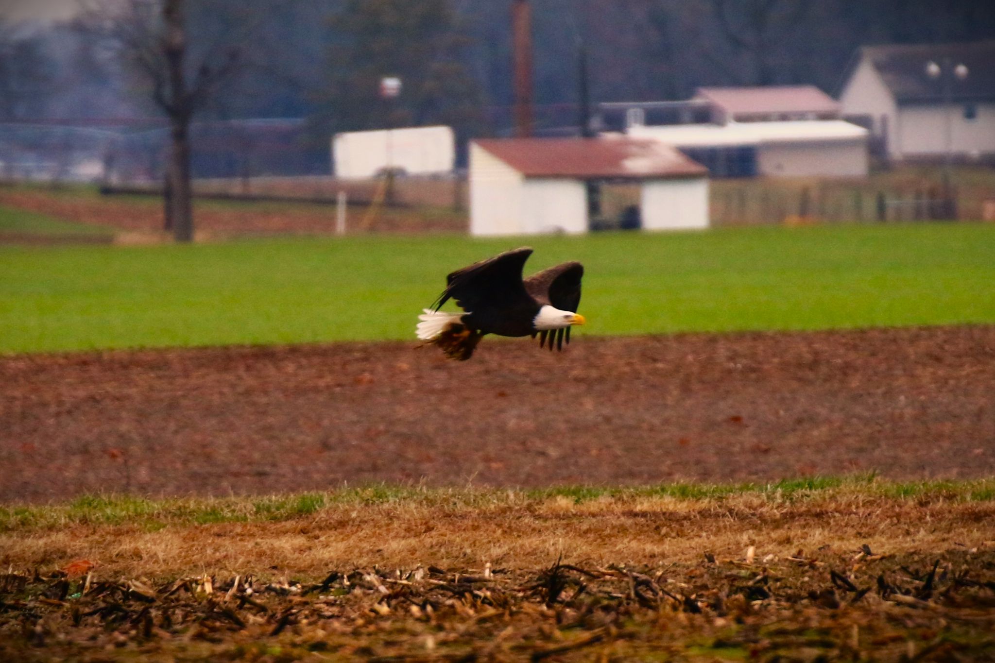 Community photo by Bill Kozar | Columbus, Indiana. USA