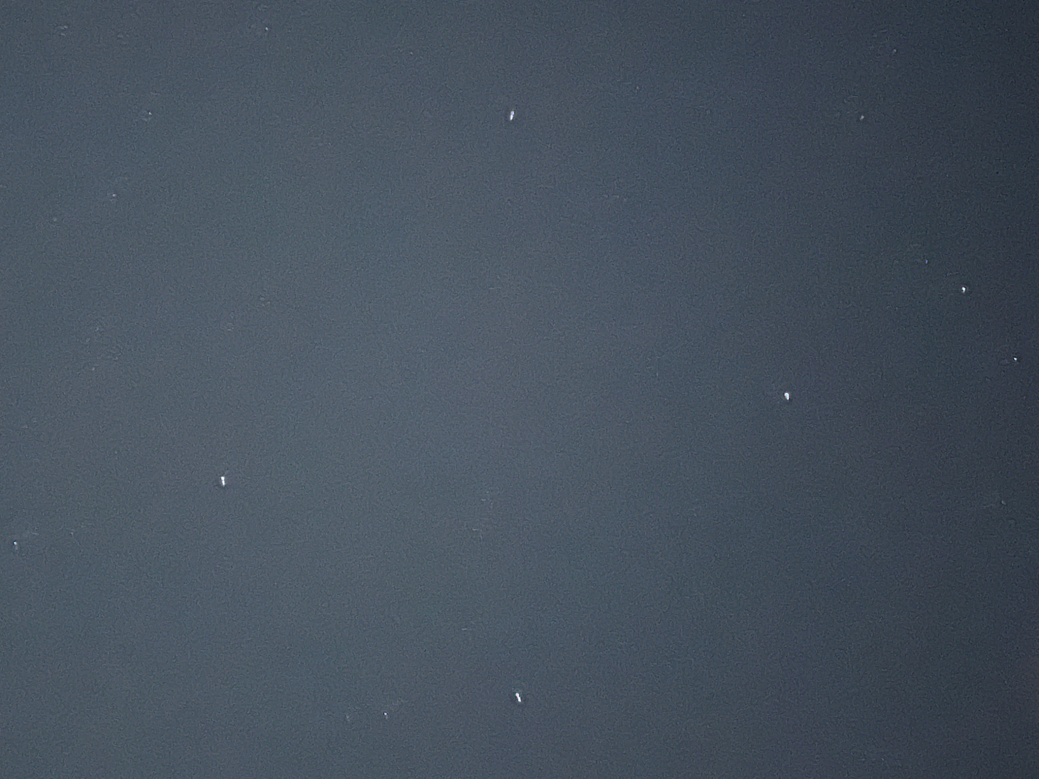 Community photo by Timothy