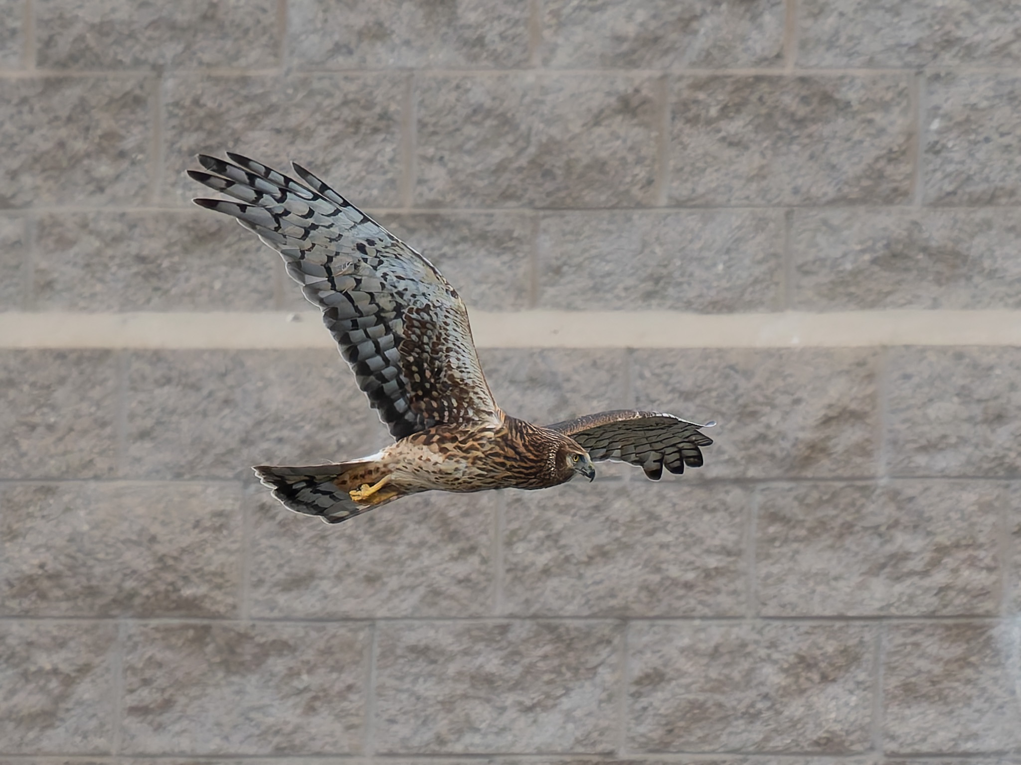 Community photo by Lynzie