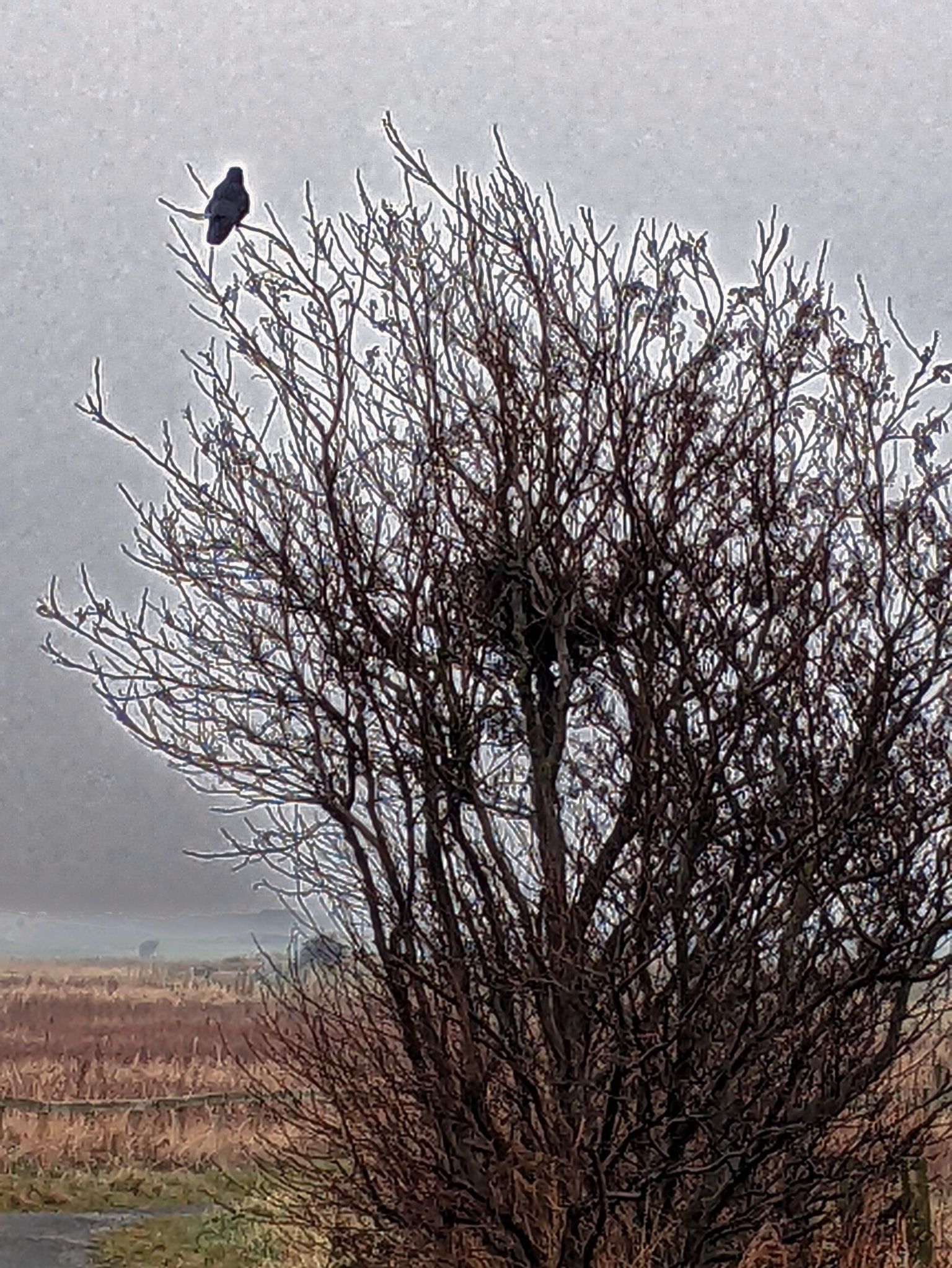 Community photo by Kevan