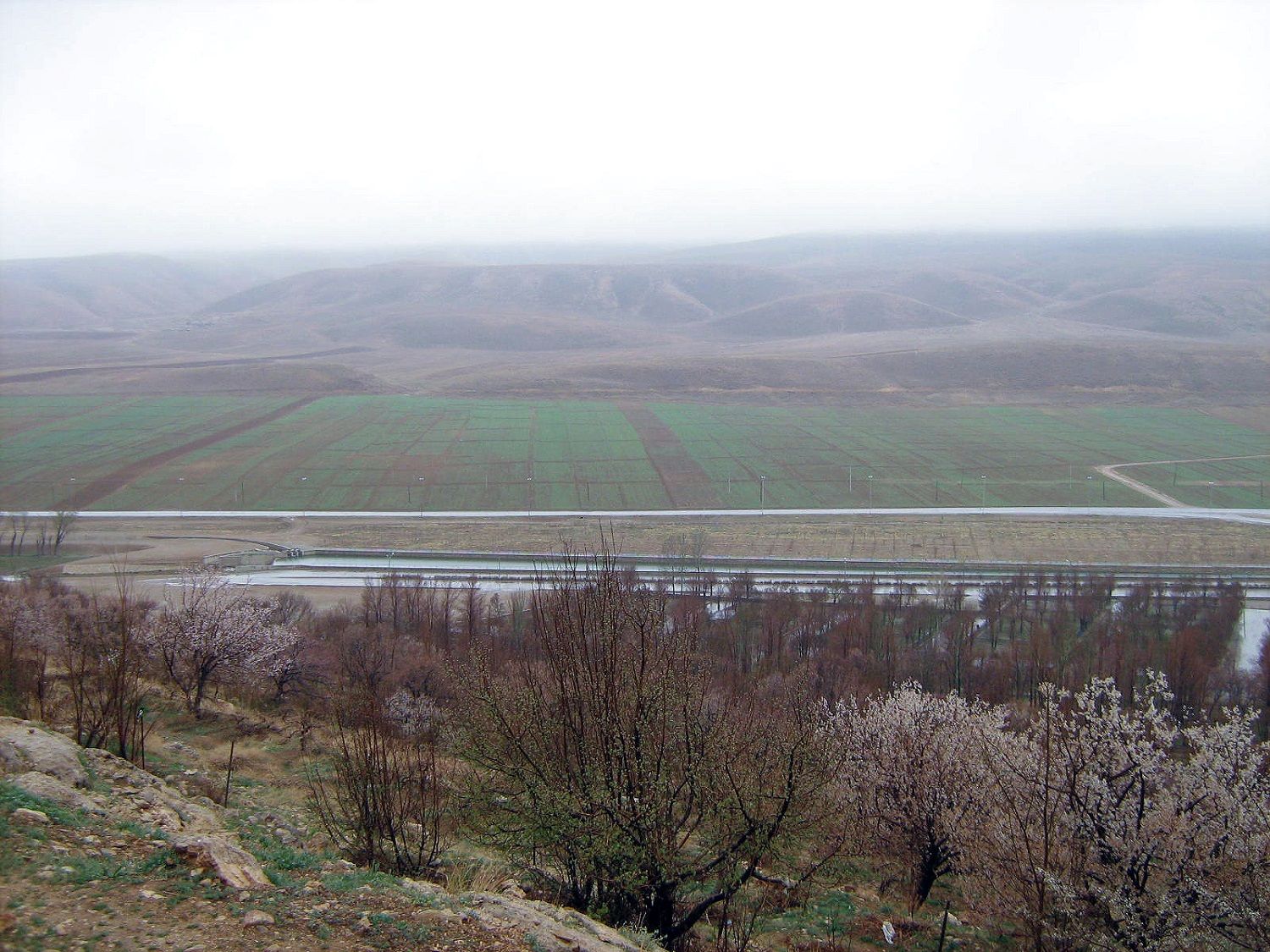 Community photo by Hassan