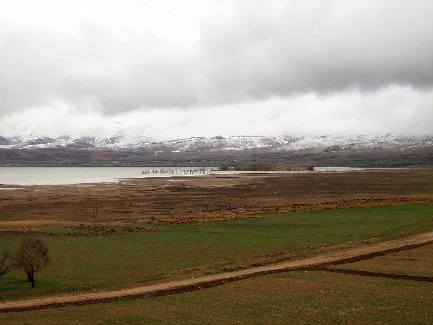 Community photo by Hassan