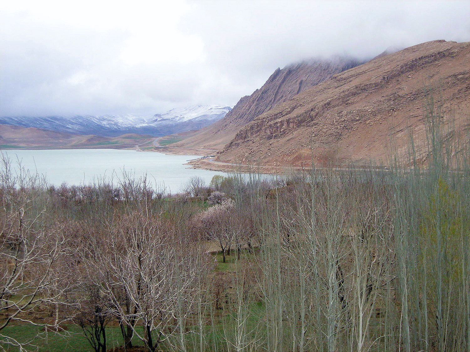 Community photo by Hassan