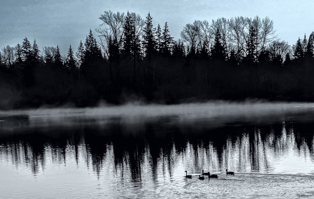 Community photo by Marilyn Grady | Bellingham WA USA