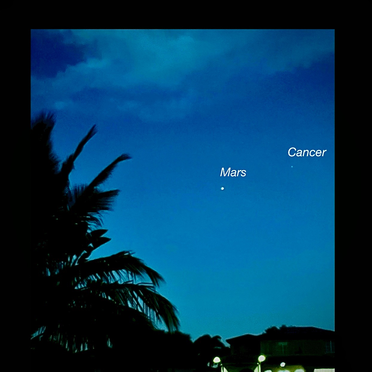 Community photo by Deborah Sindell | Parkland, Florida