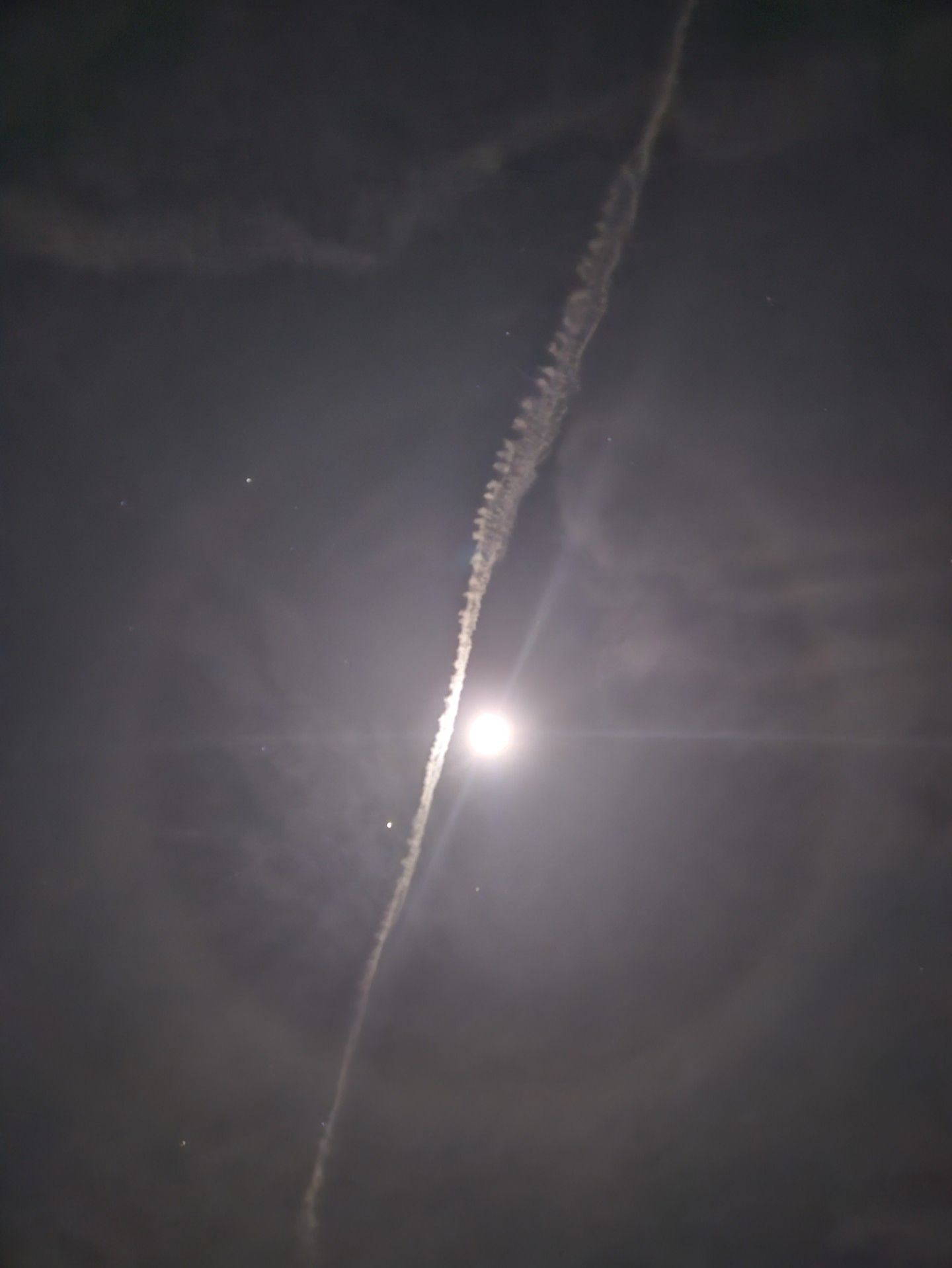 Community photo by Peter Stern | Culver City, CA