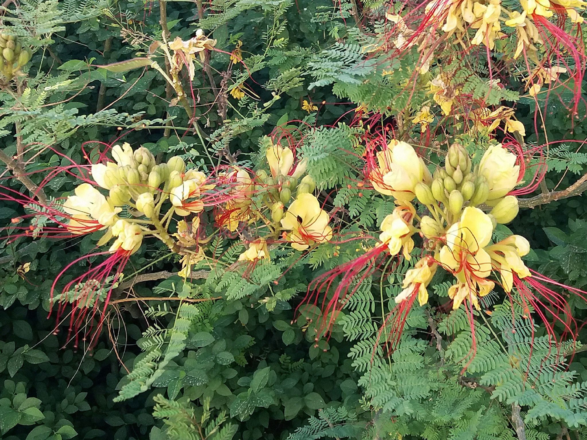 Community photo by Hassan