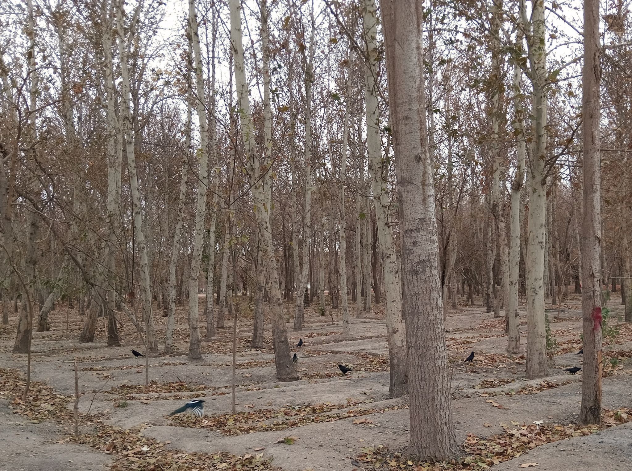 Community photo by Hassan