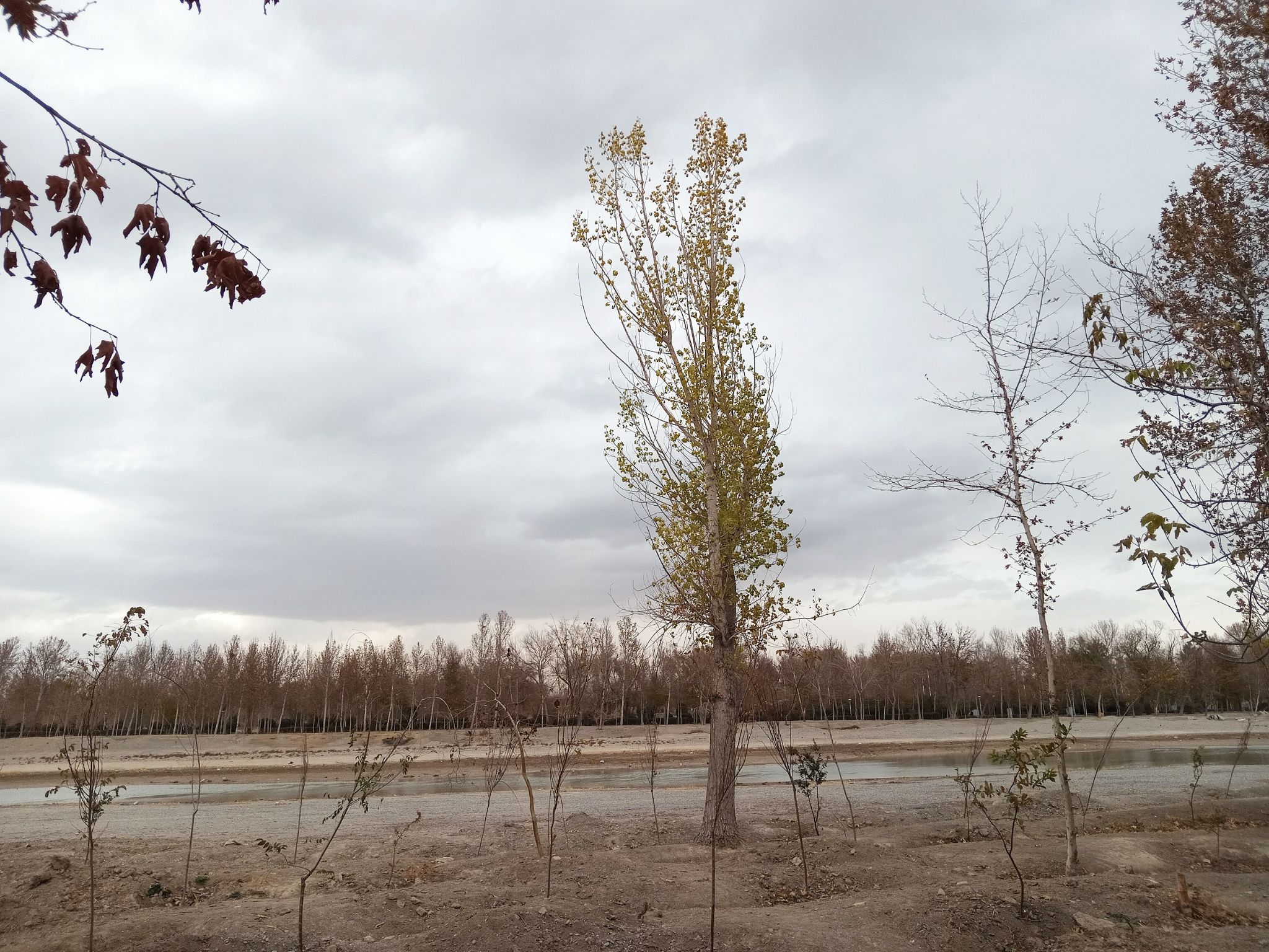 Community photo by Hassan