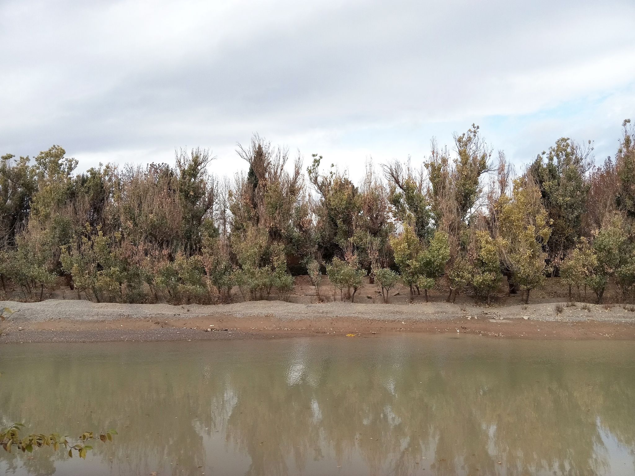 Community photo by Hassan