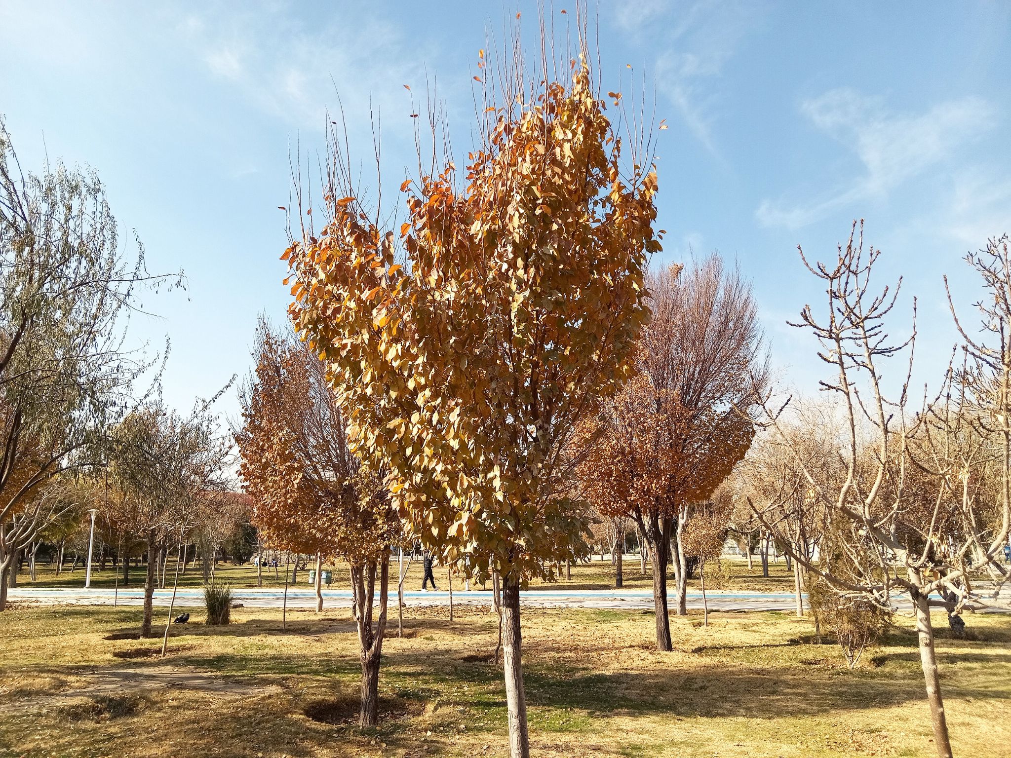 Community photo by Hassan