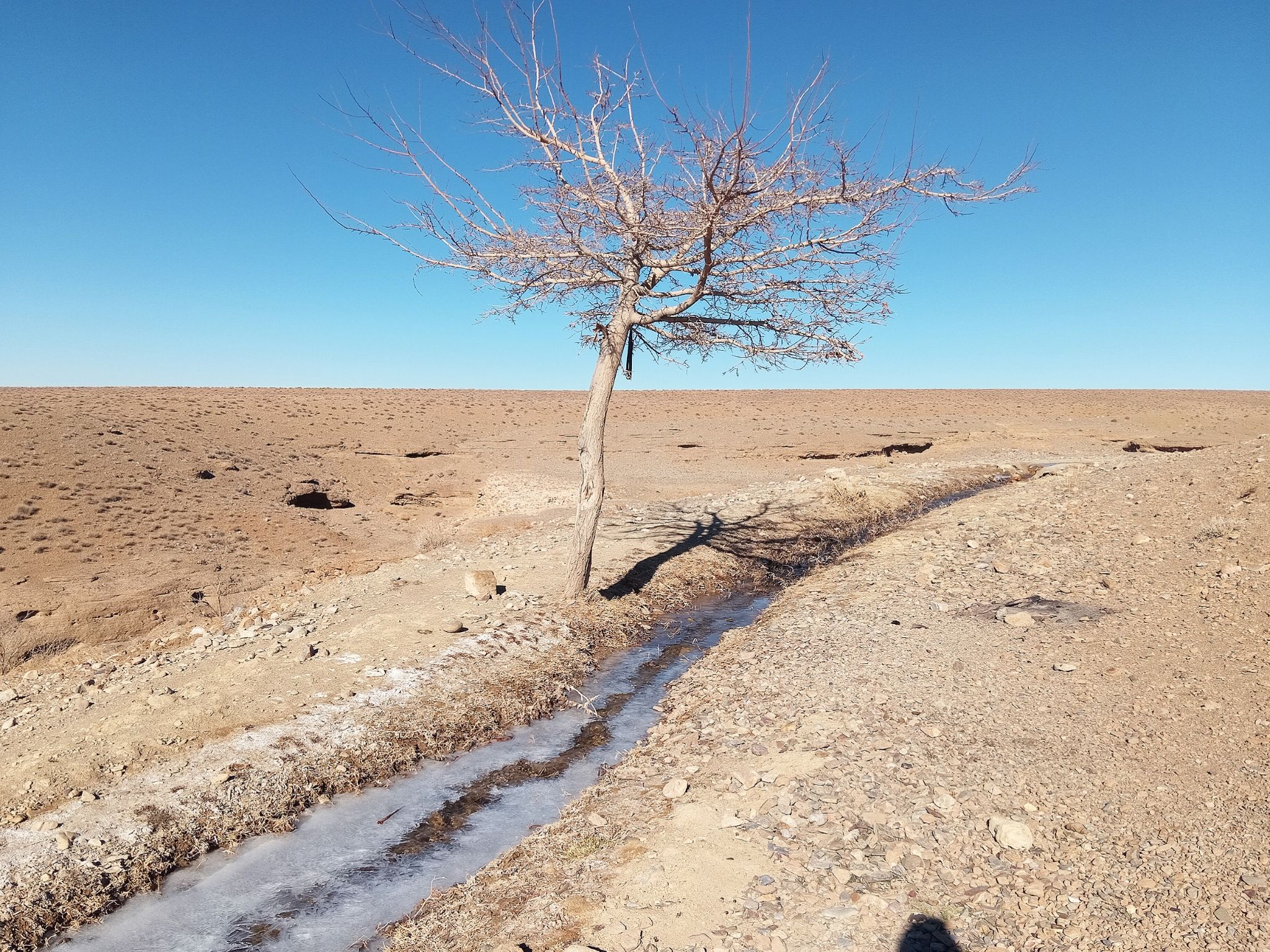 Community photo by Hassan