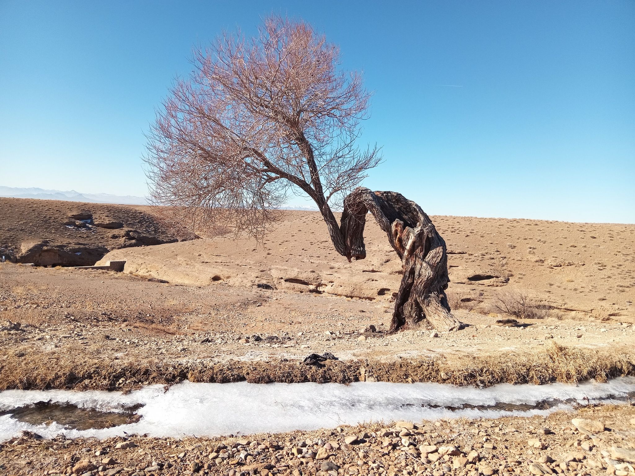 Community photo by Hassan