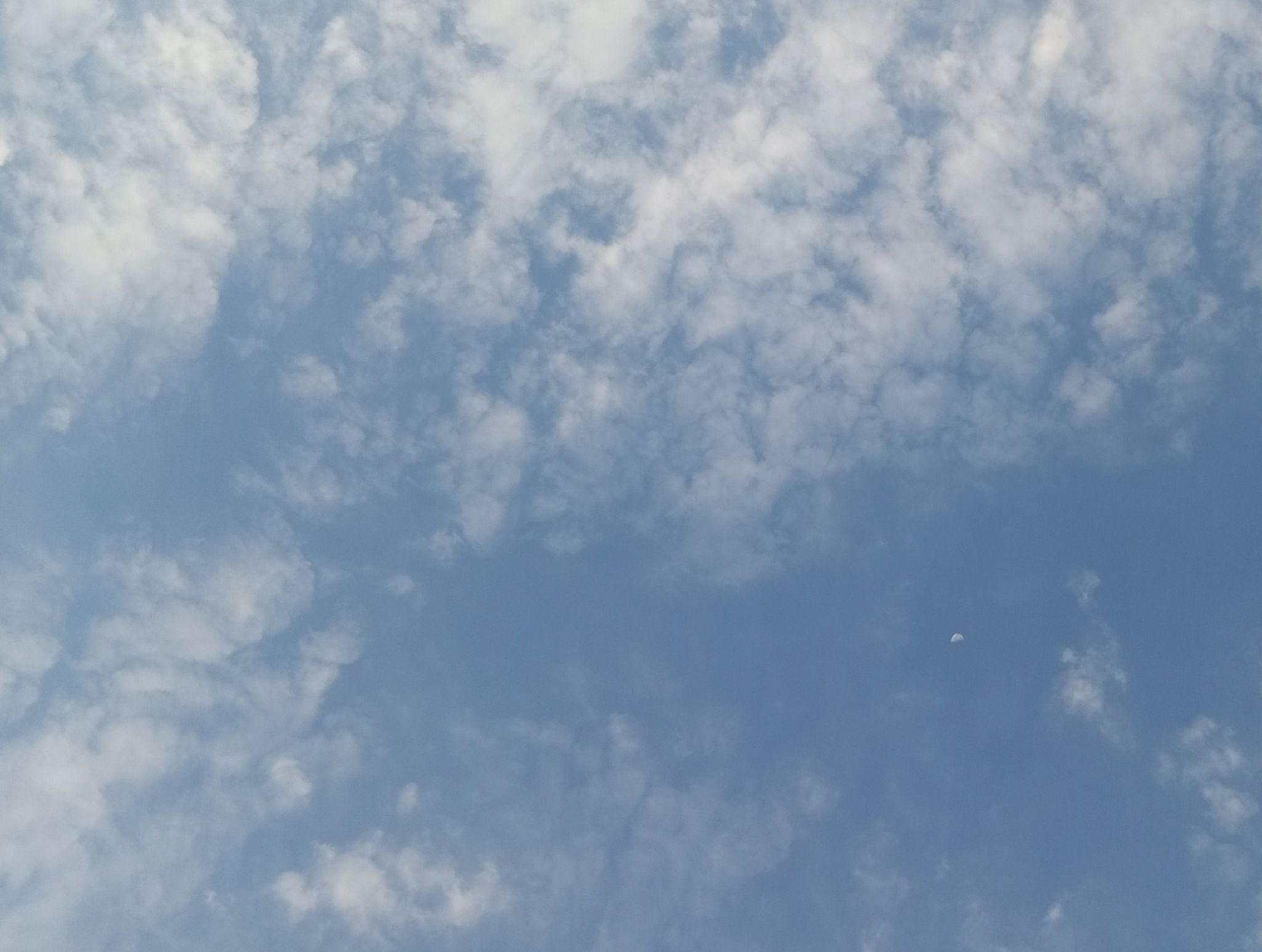 Community photo by Hassan