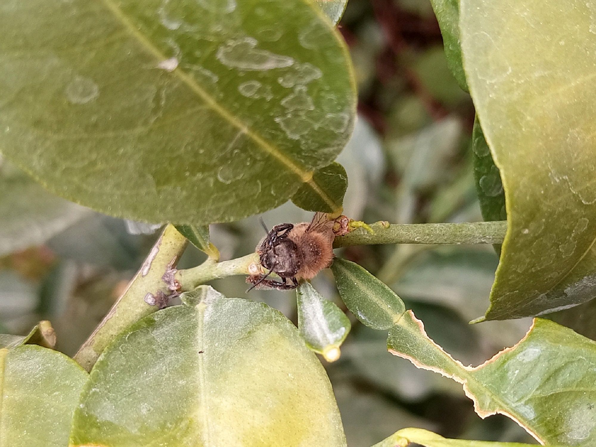 Community photo by Hassan