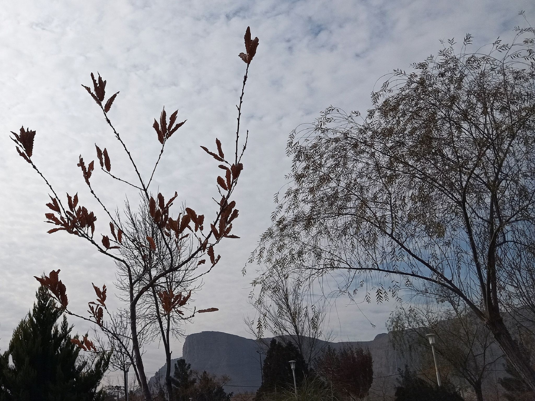 Community photo by Hassan