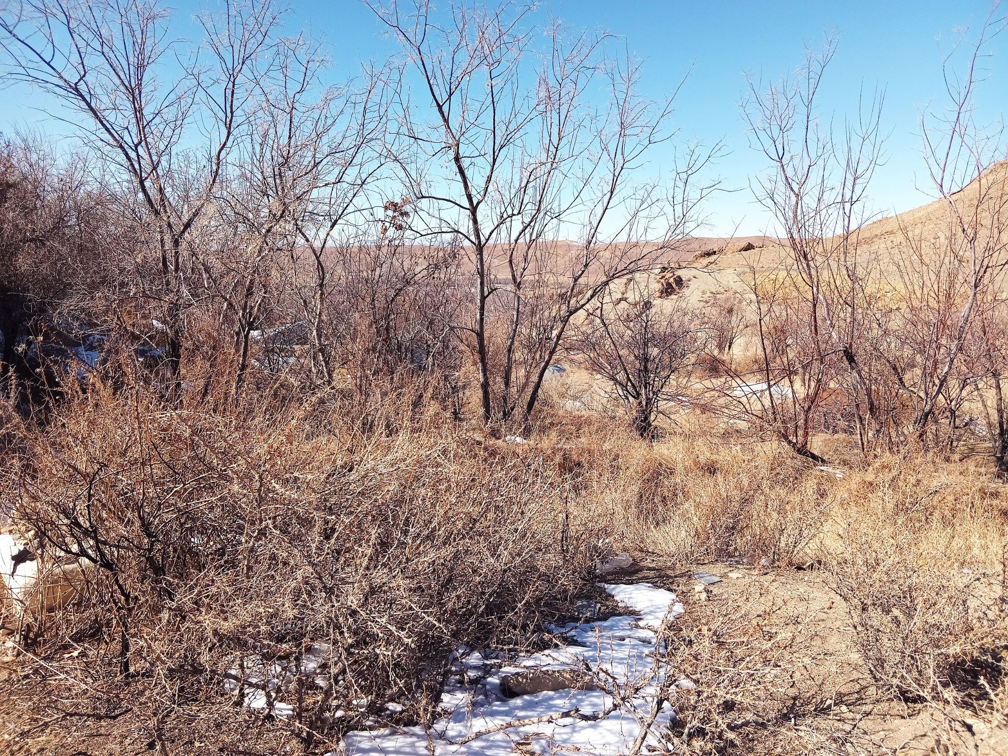 Community photo by Hassan