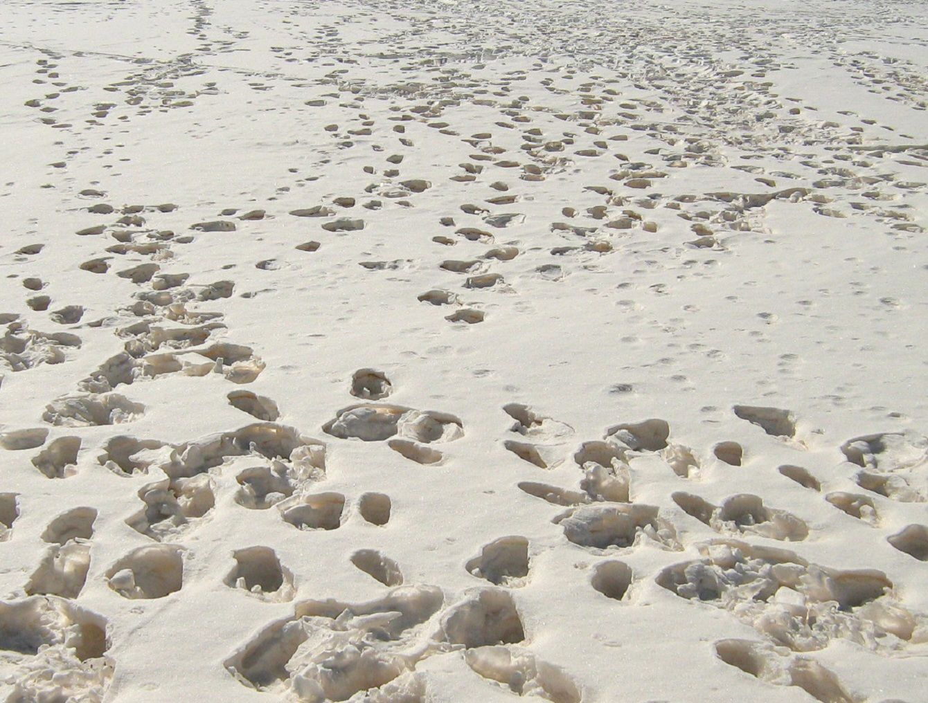 Community photo by Hassan