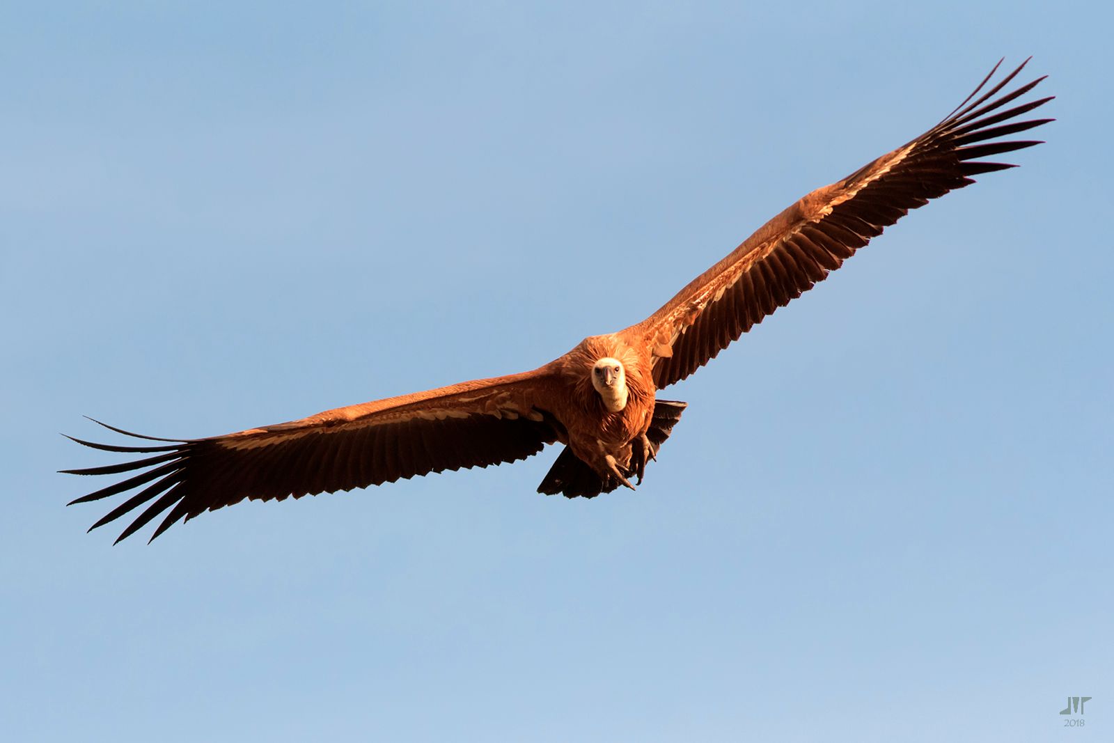 Community photo by juan manuel