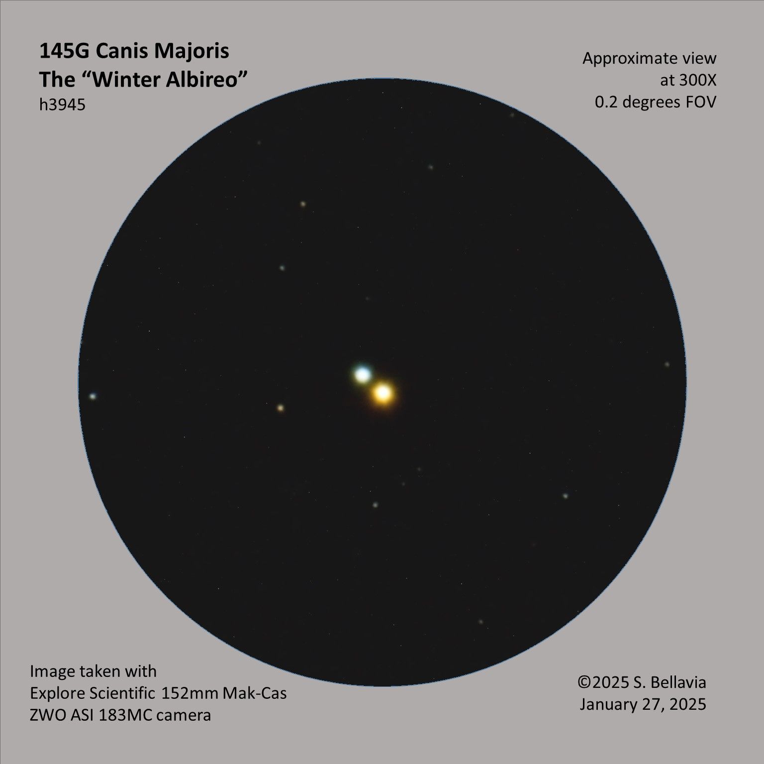 Community photo entitled 145 G Canis Majoris, the Winter Albireo by Steven Bellavia on 01/27/2025 at Smithfield, VA