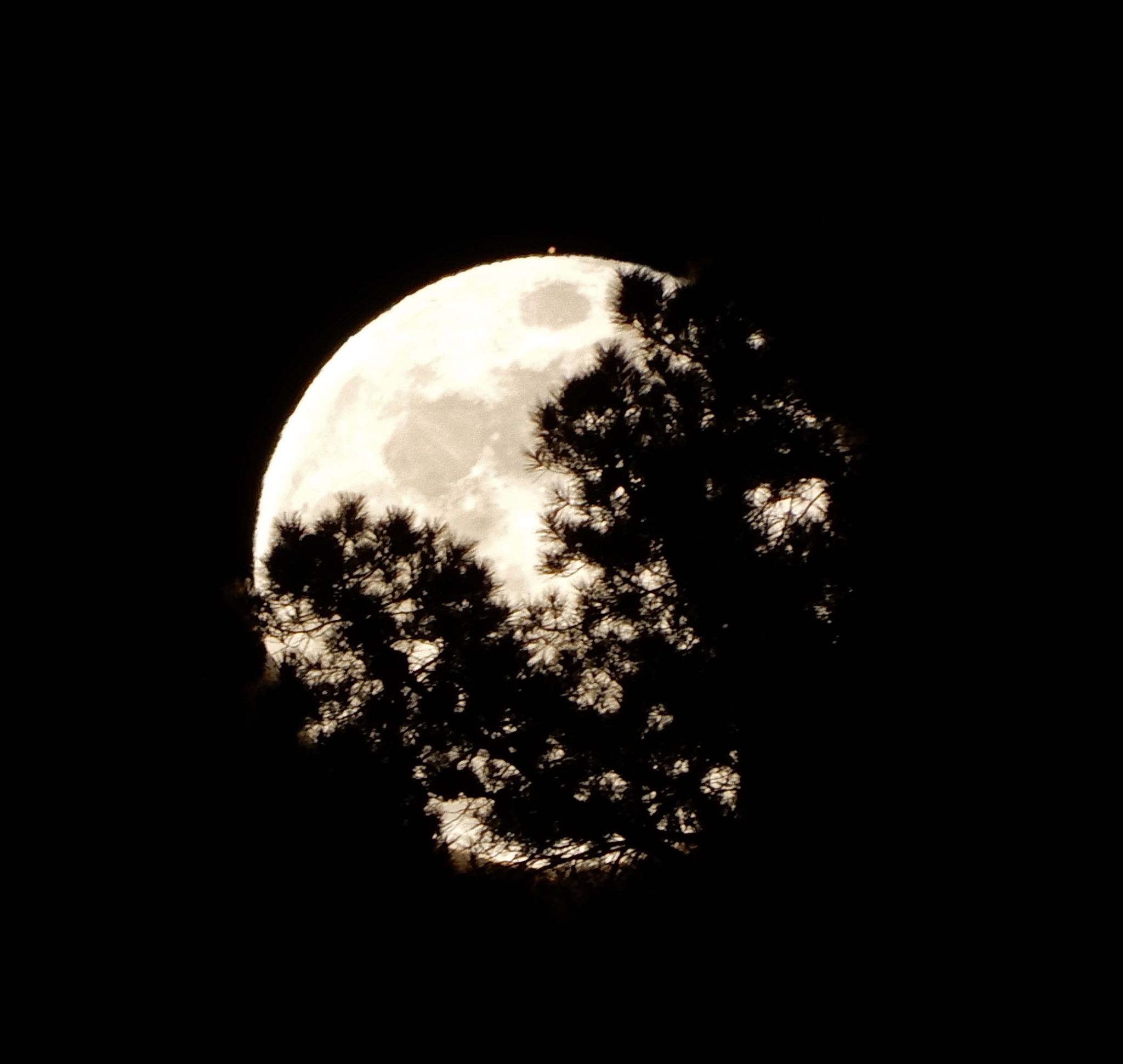 Community photo by Kenneth