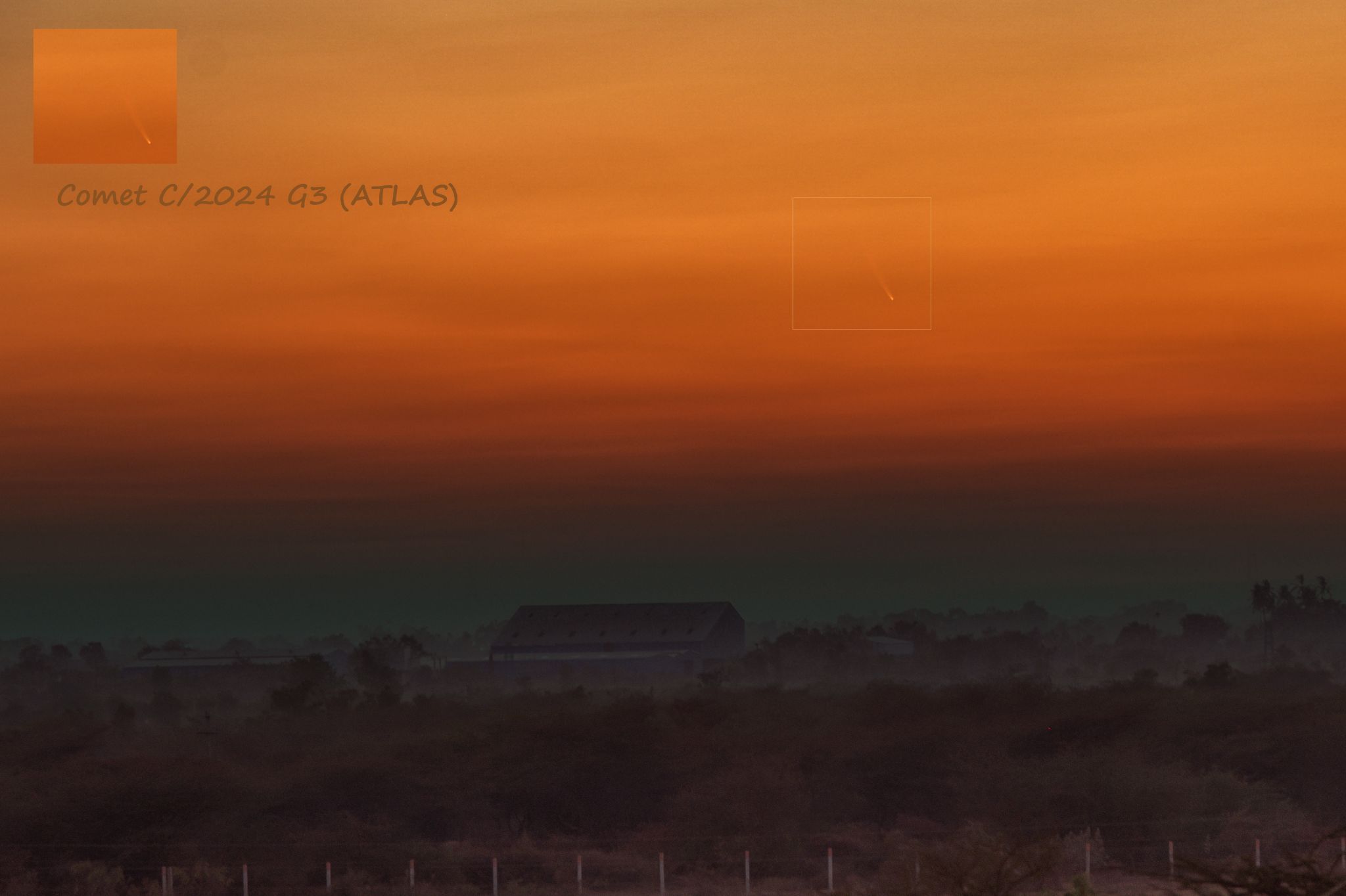 Community photo entitled Elusive Comet C/2024 G3 ATLAS by SAMIT SAHA on 01/17/2025 at Bidada, Gujarat, India