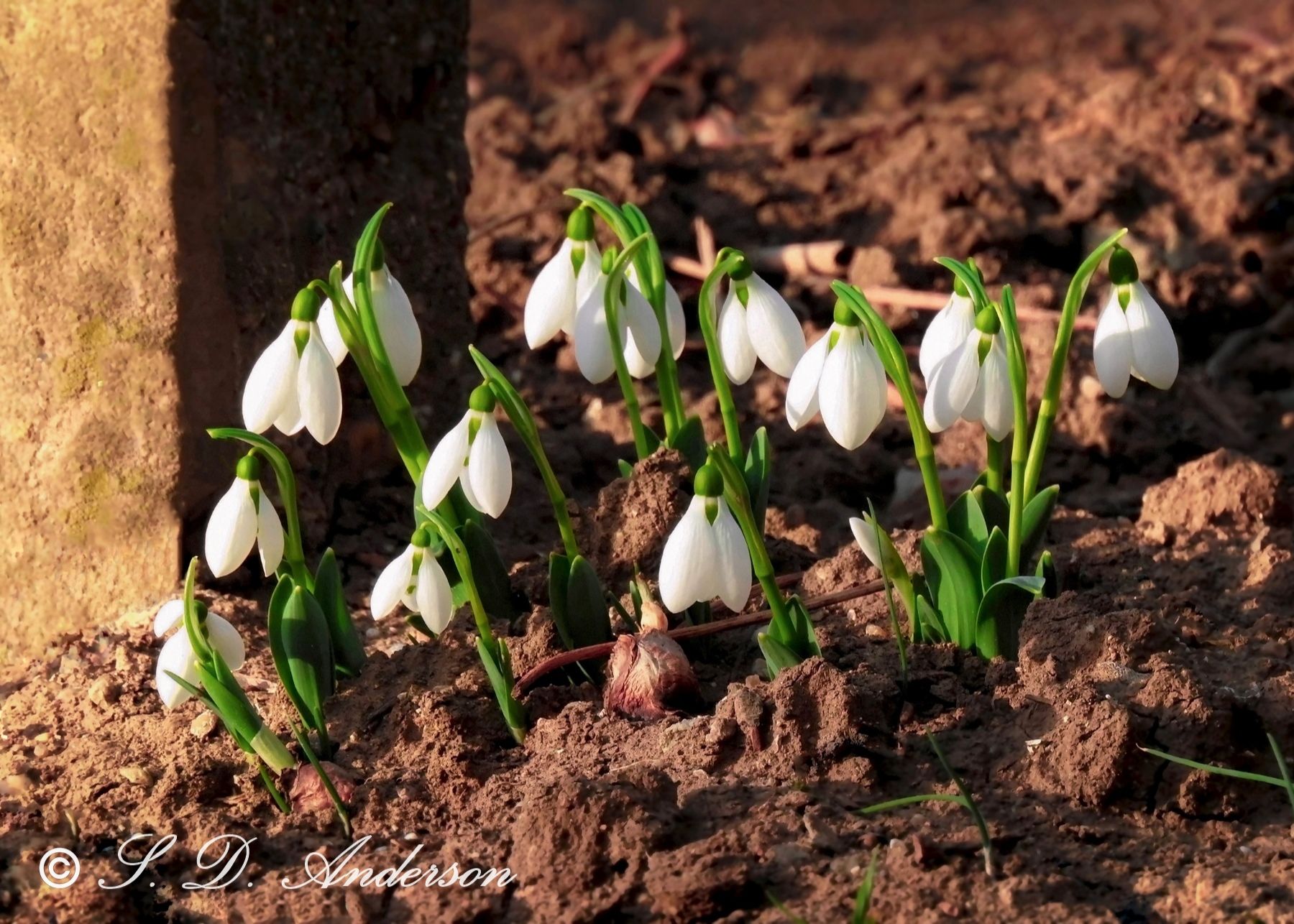 Community photo by Samantha