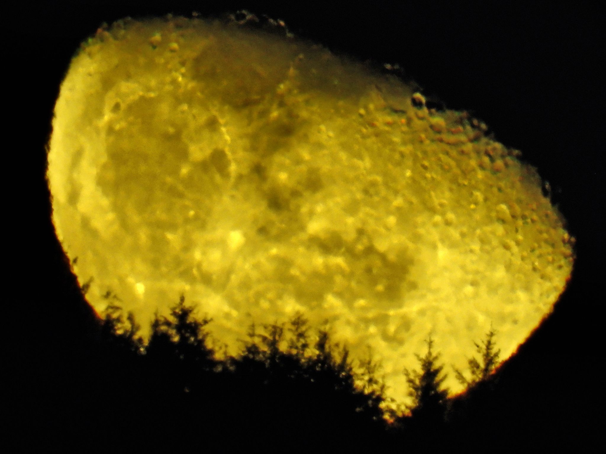 Community photo by Cecille