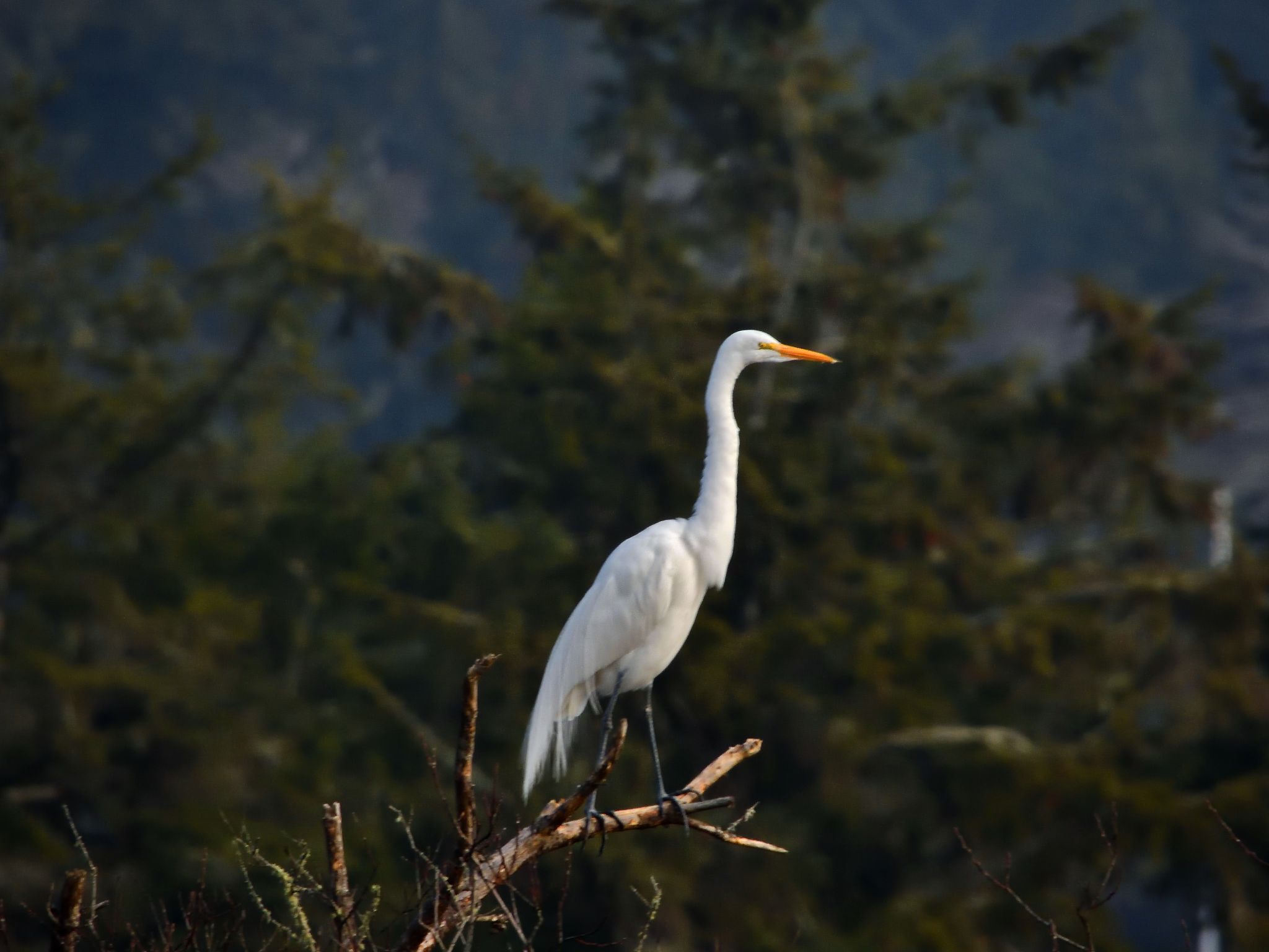 Community photo by Cecille