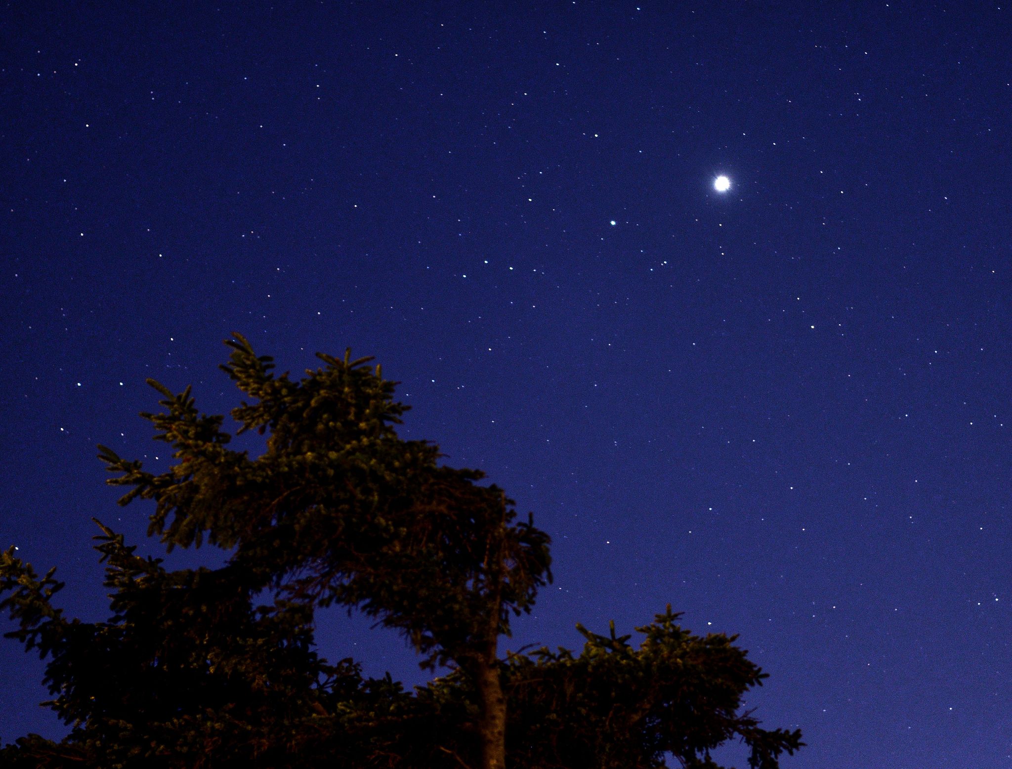 Community photo by Cecille