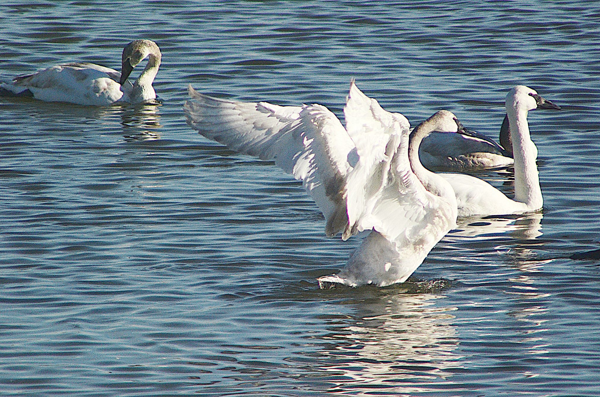 Community photo by Randy