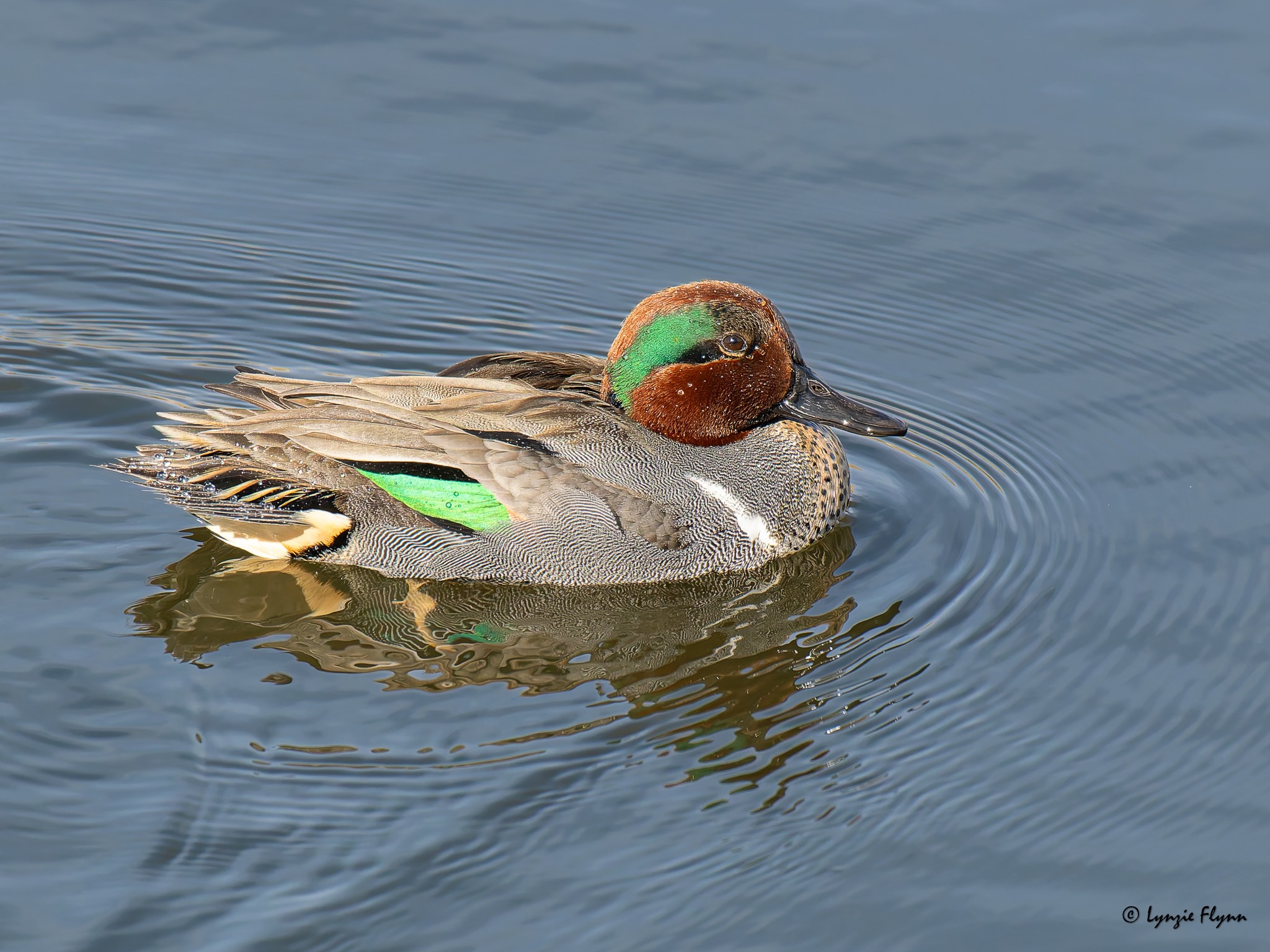 Community photo by Lynzie