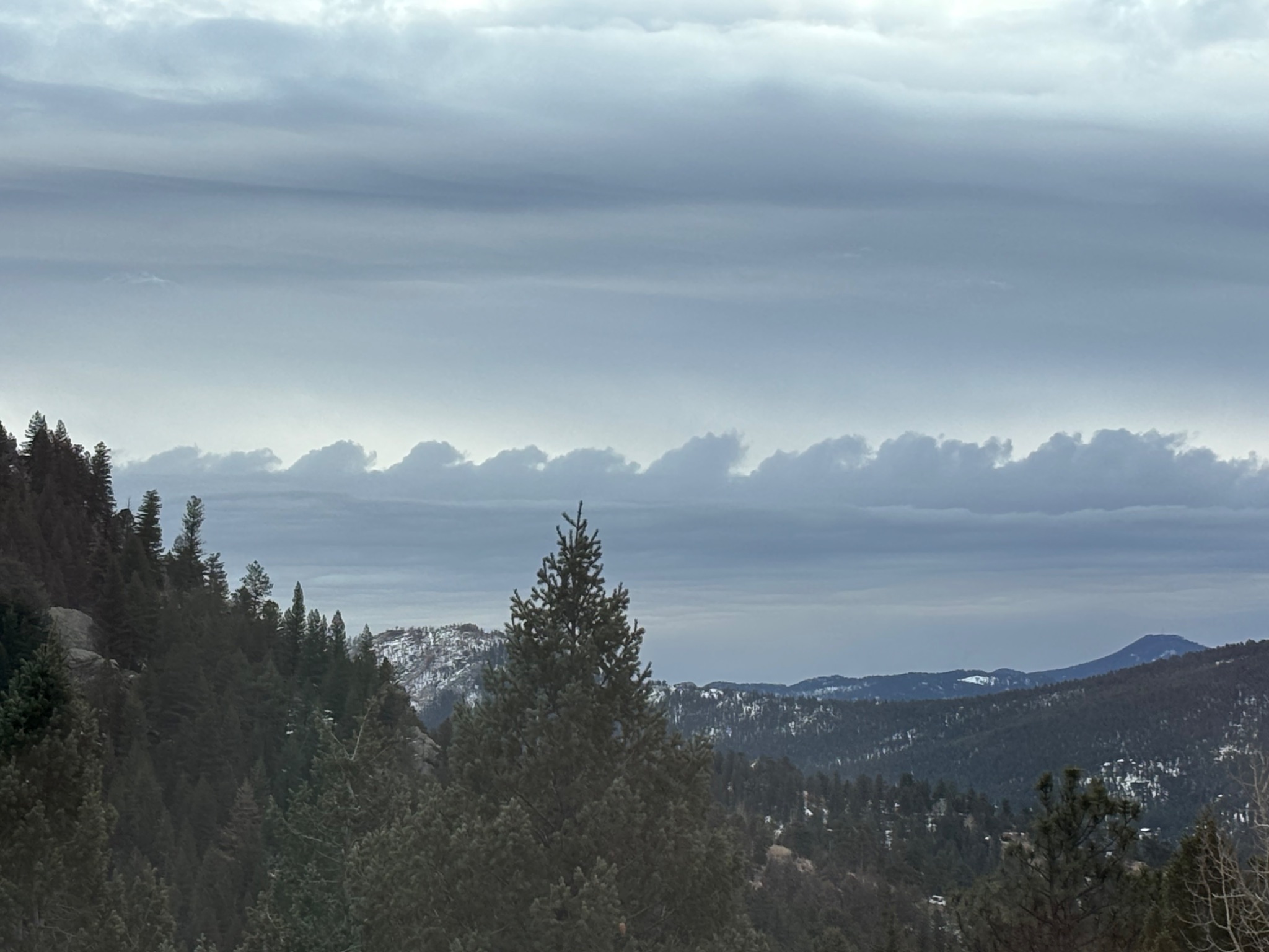 Community photo by Penny