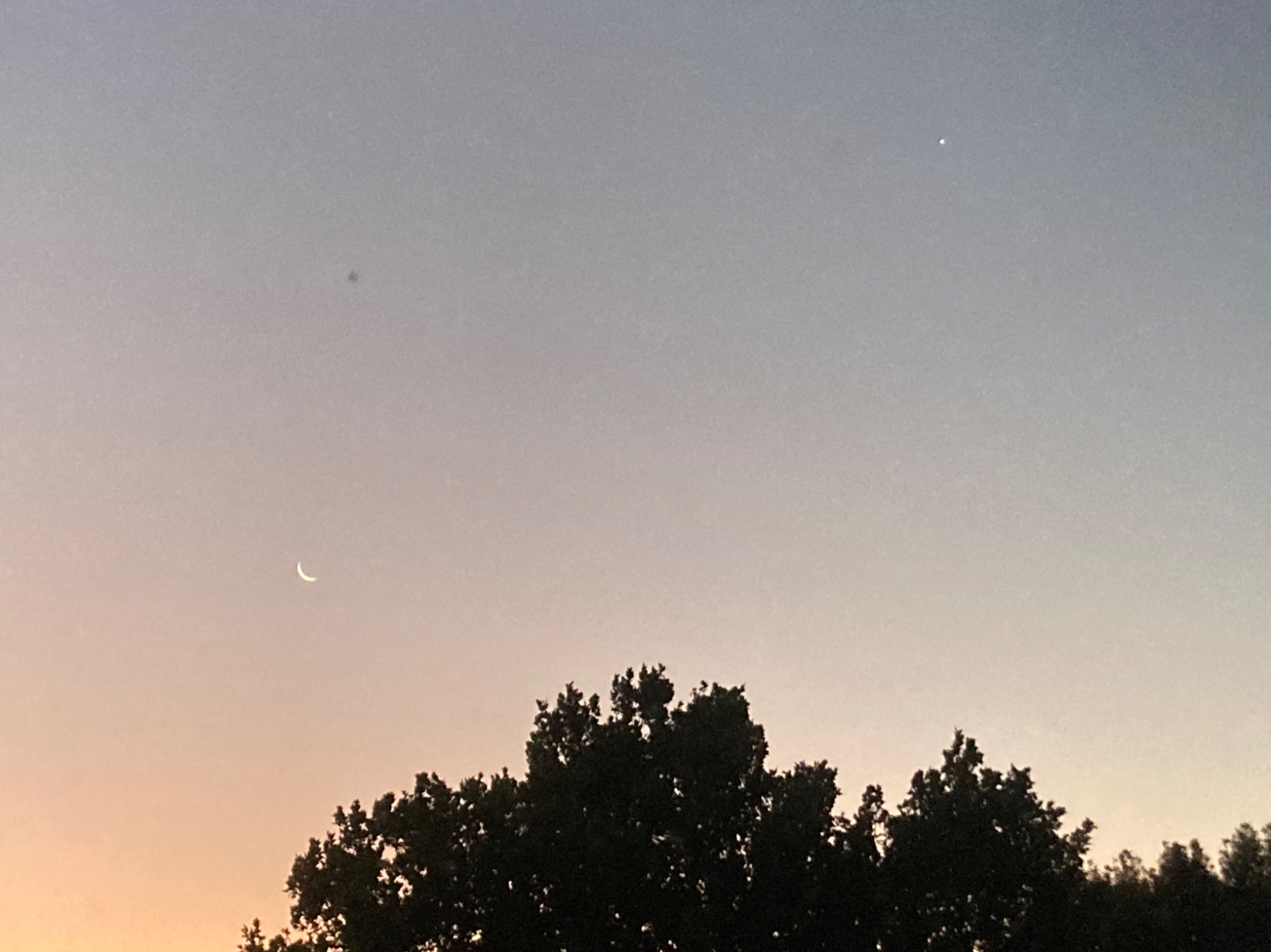 Community photo by Daamon