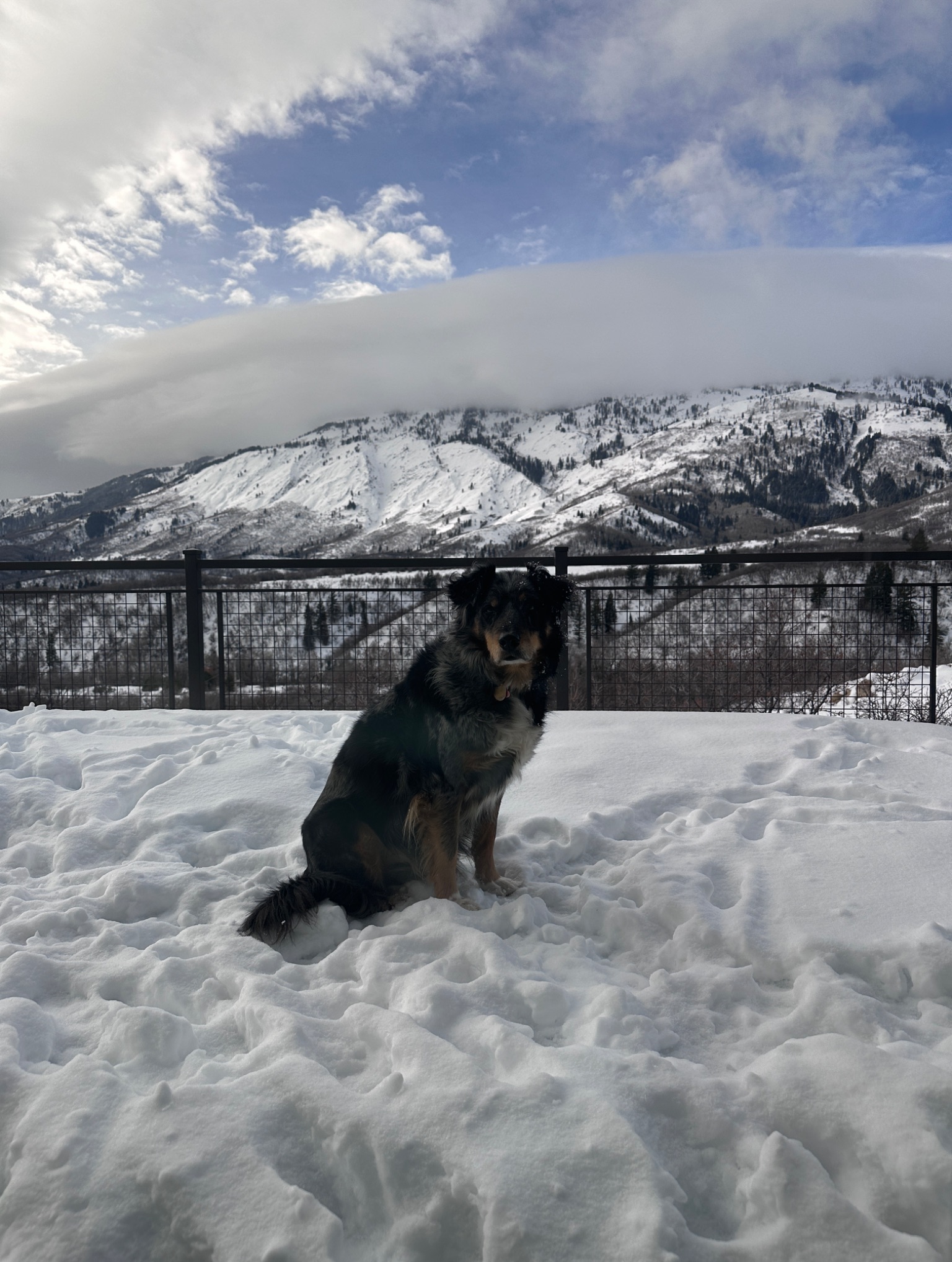 Community photo by Lynn