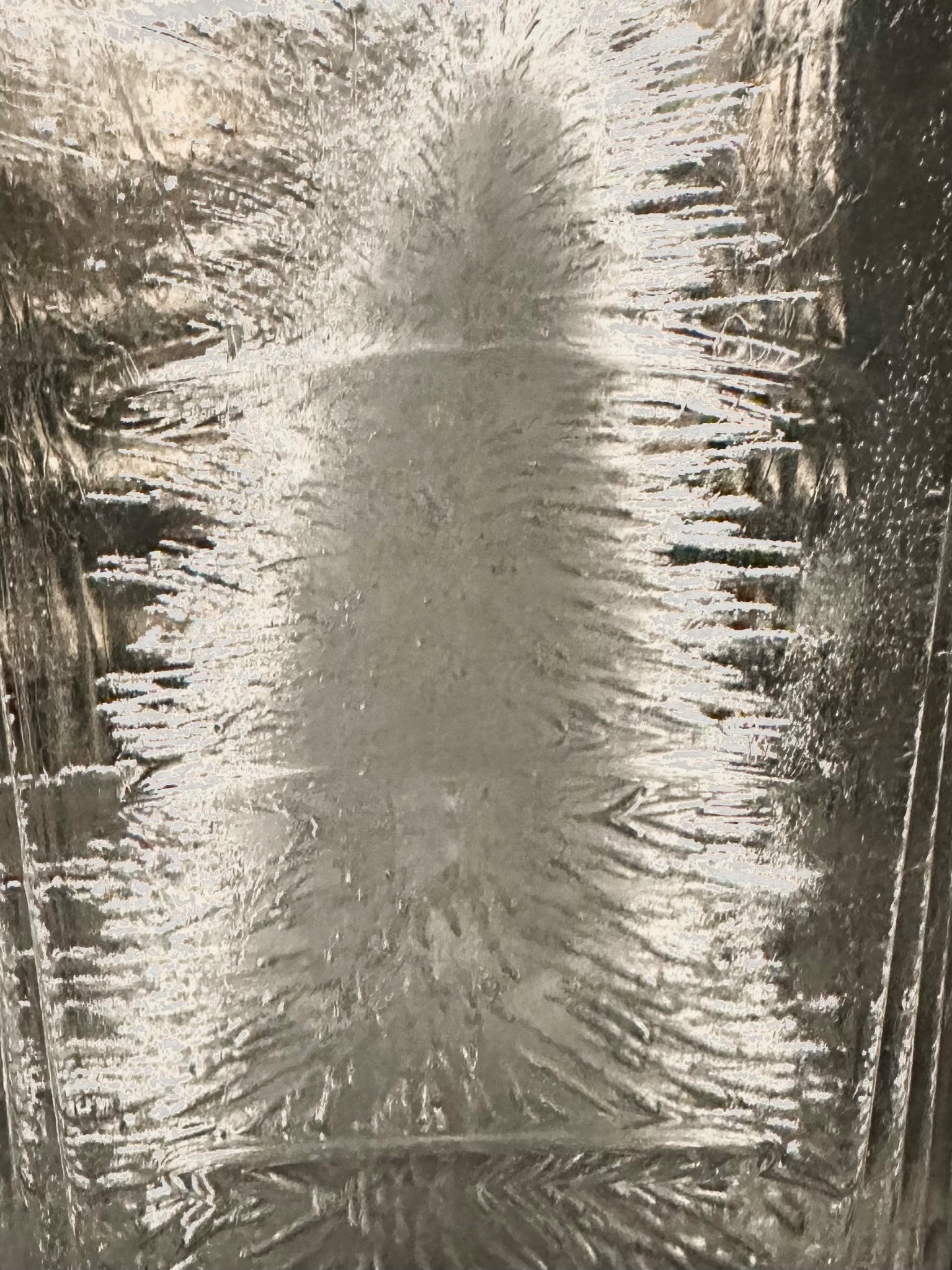 Community photo by Donna COLLINS | Backyard in Warrior, AL USA