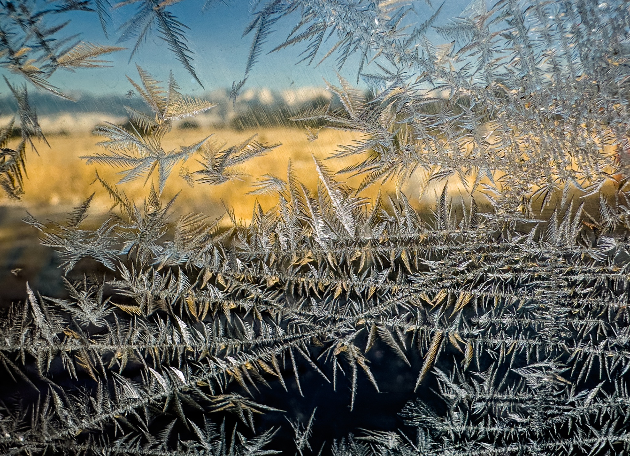 Community photo entitled The Frozen Art of Winter by Christoph Stopka on 01/19/2025 at Westcliffe, Colorado. USA
