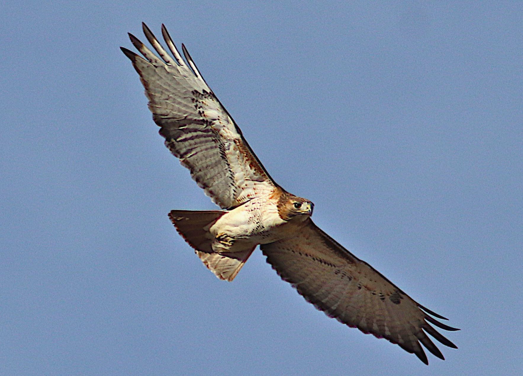 Community photo by Randy