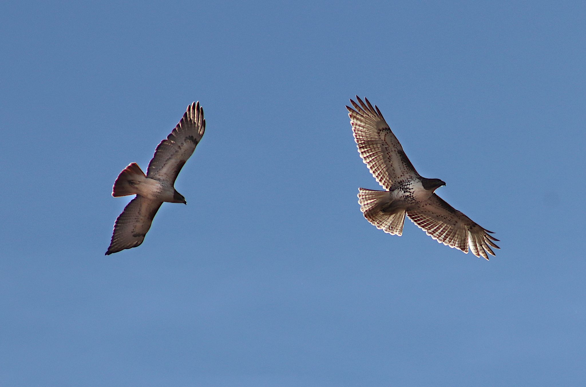 Community photo by Randy