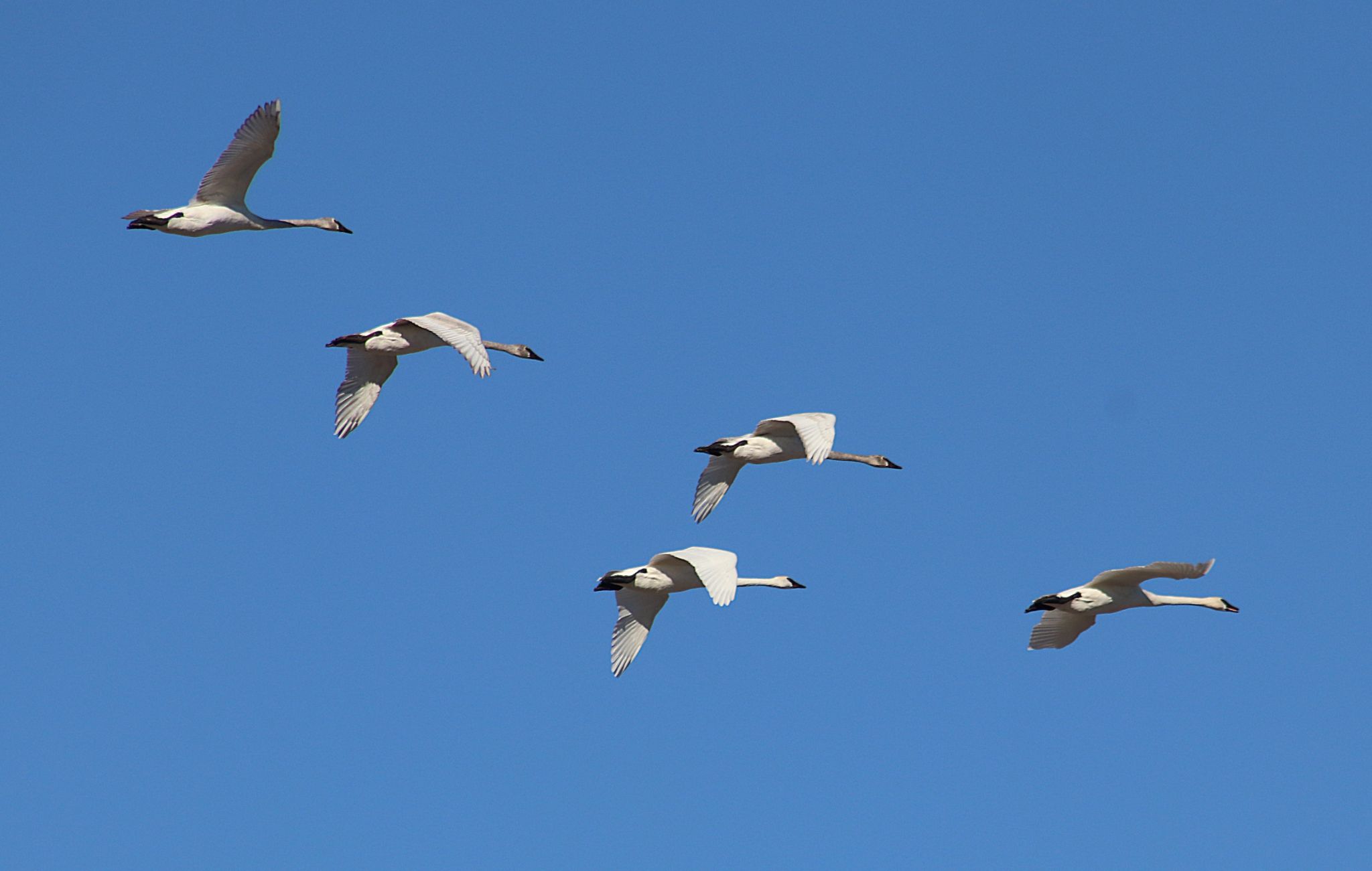 Community photo by Randy