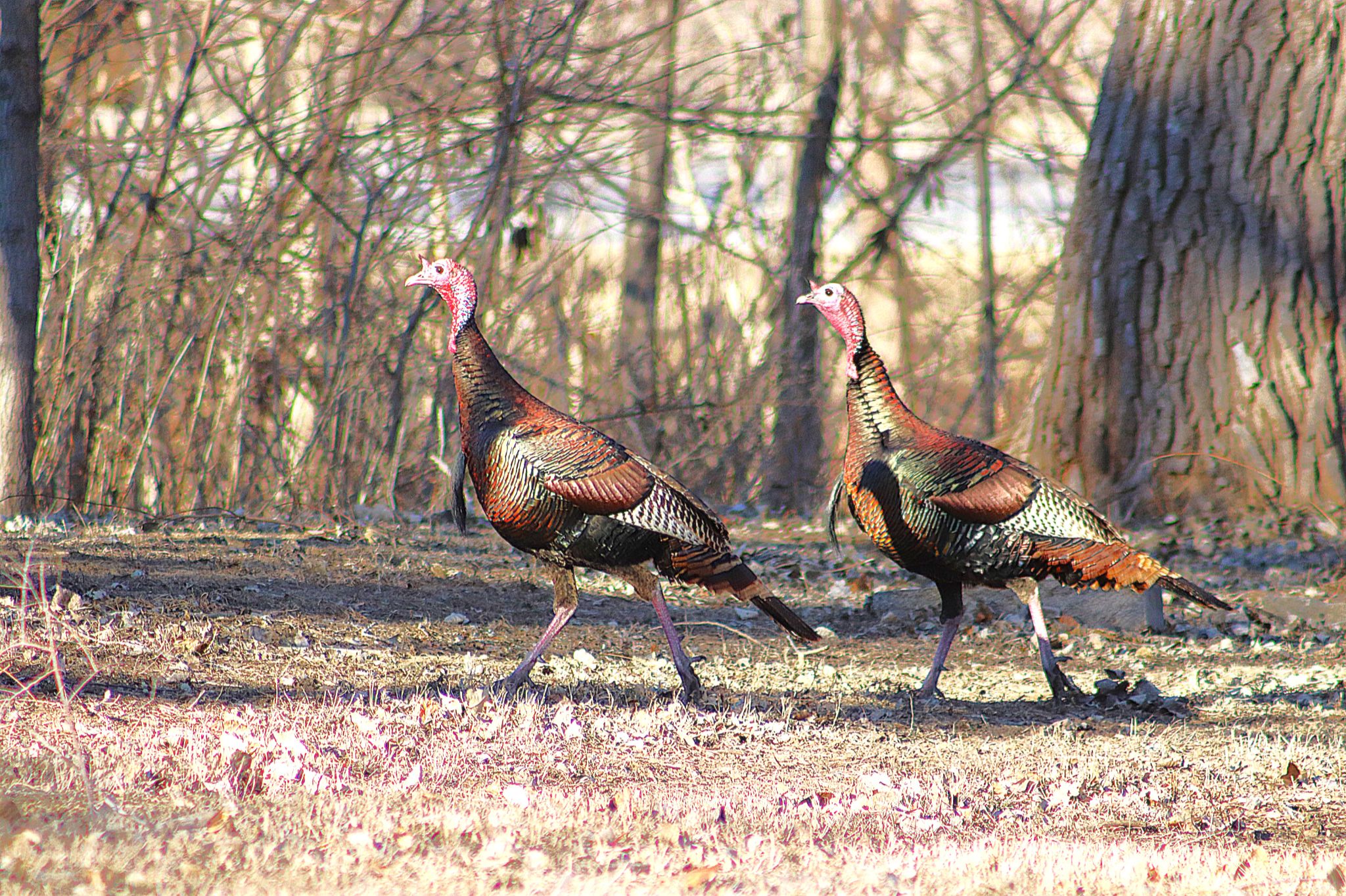 Community photo by Randy