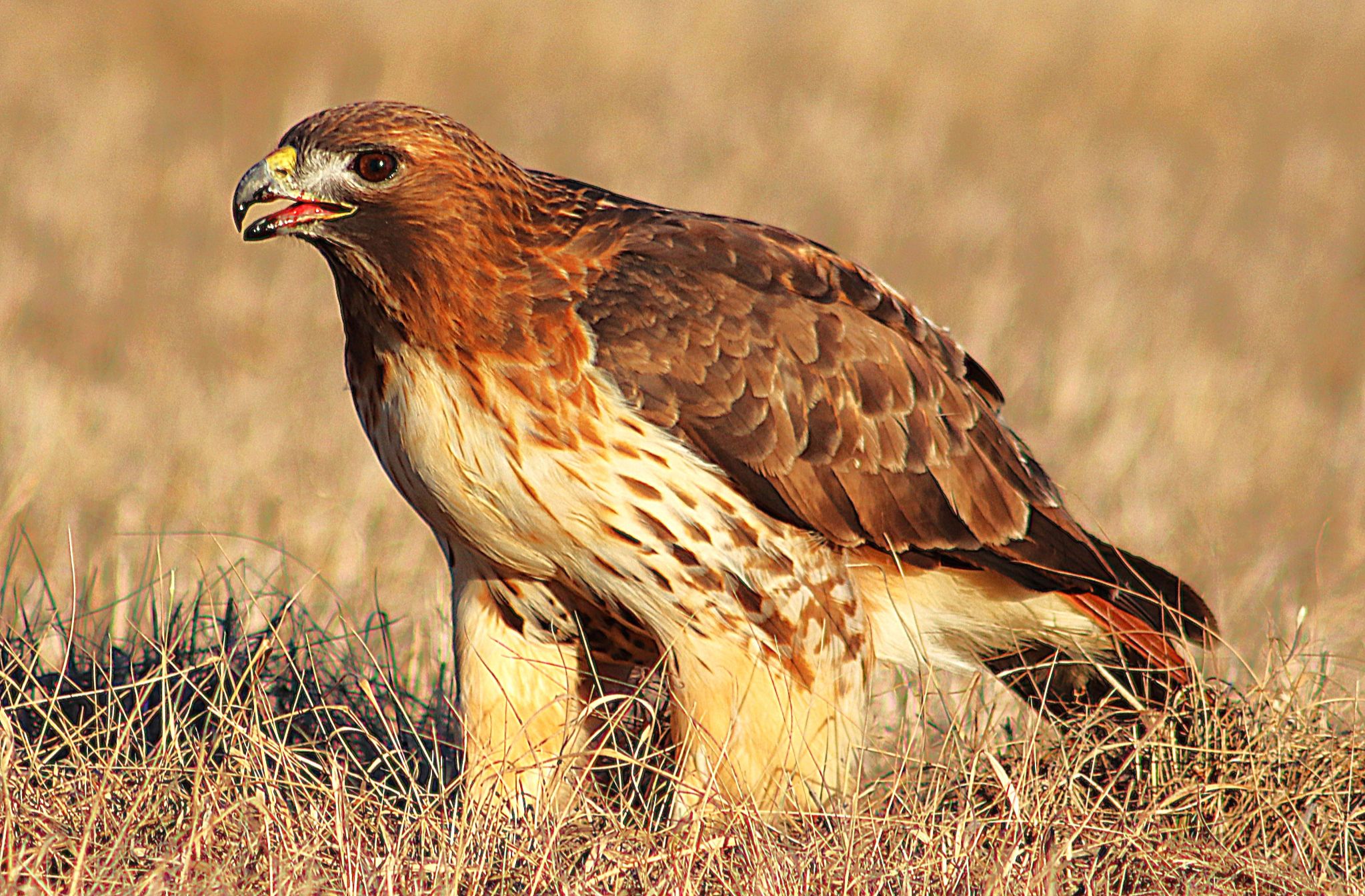 Community photo by Randy