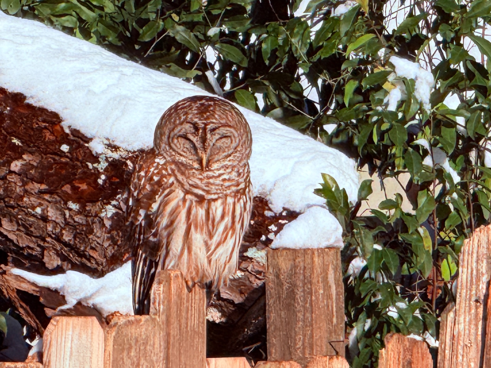 Community photo by Kenneth