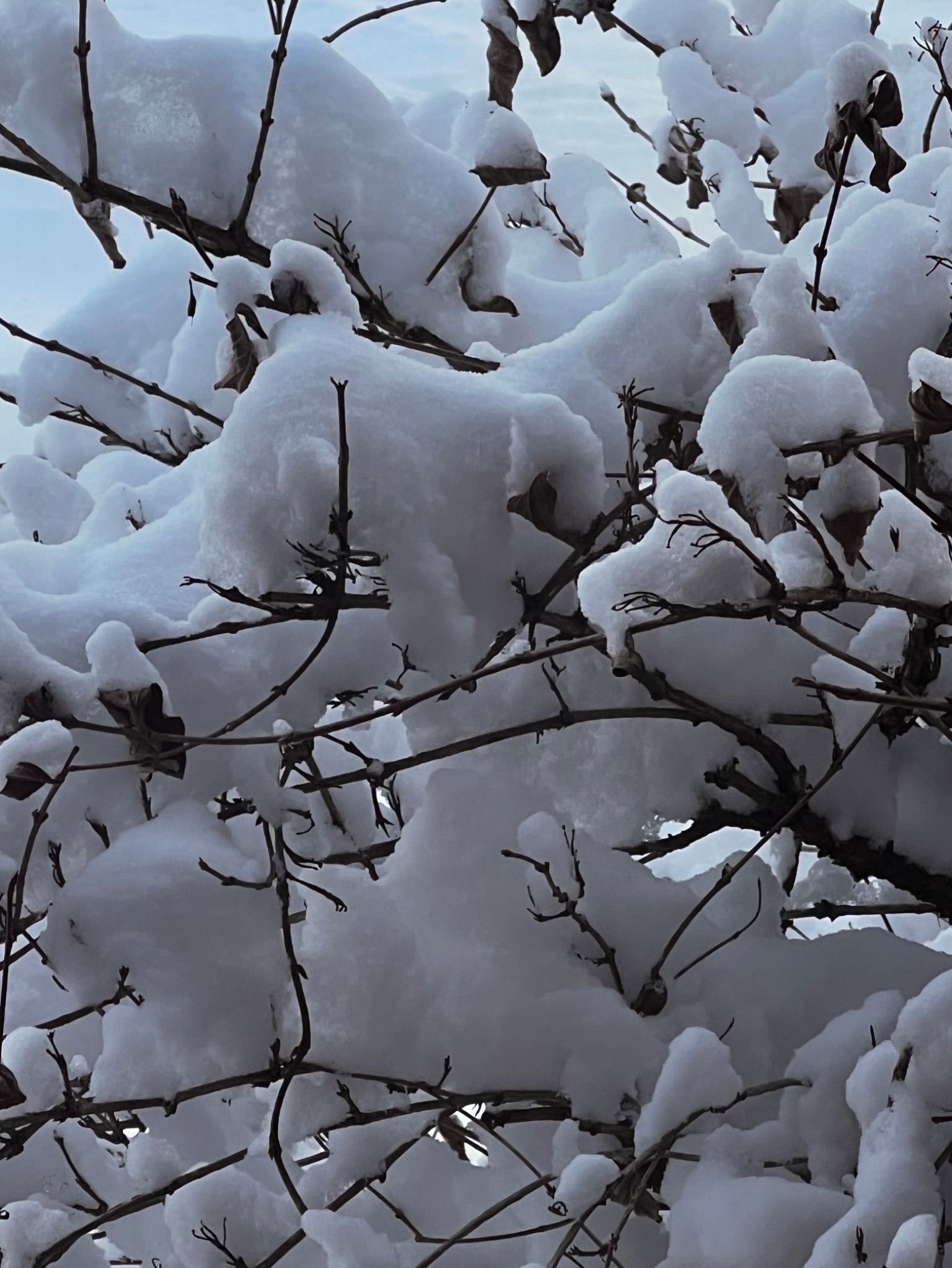 Community photo by Sudhir